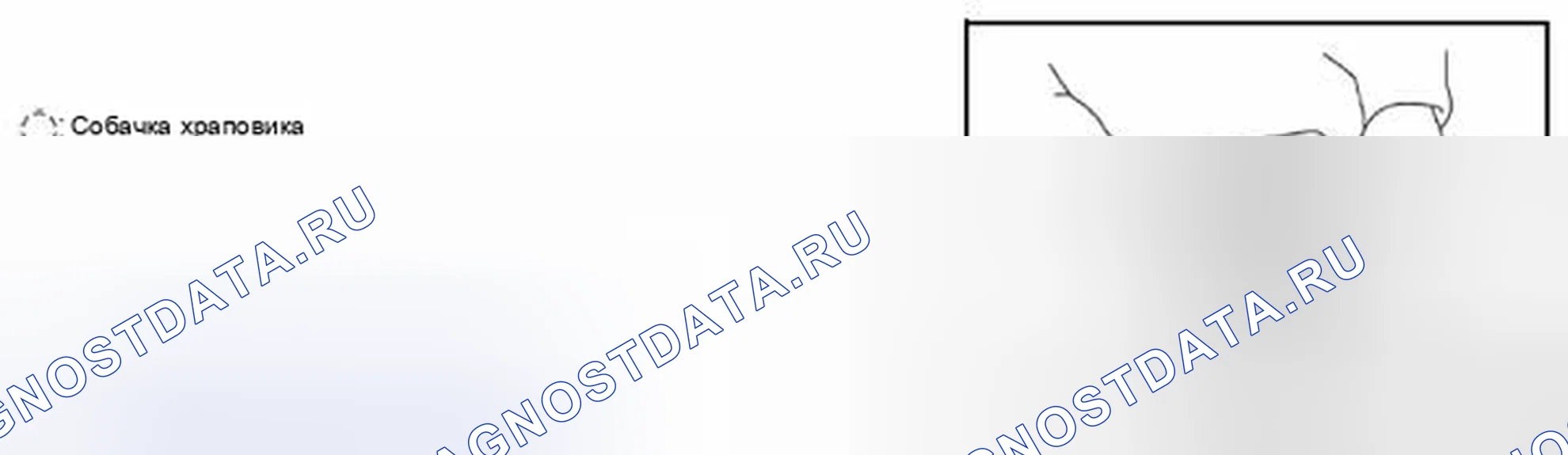Рис. 81. Nissan Pathfinder IV рестайлинг