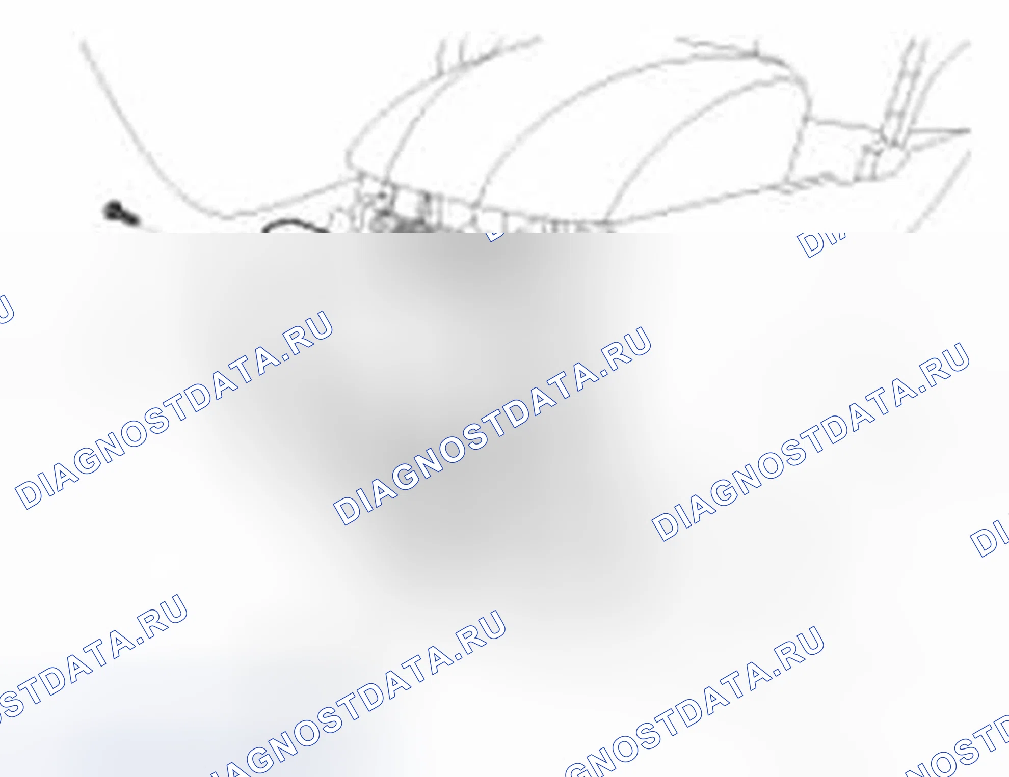 Рис. 105: Замена подлокотника. Hyundai Sonata VI