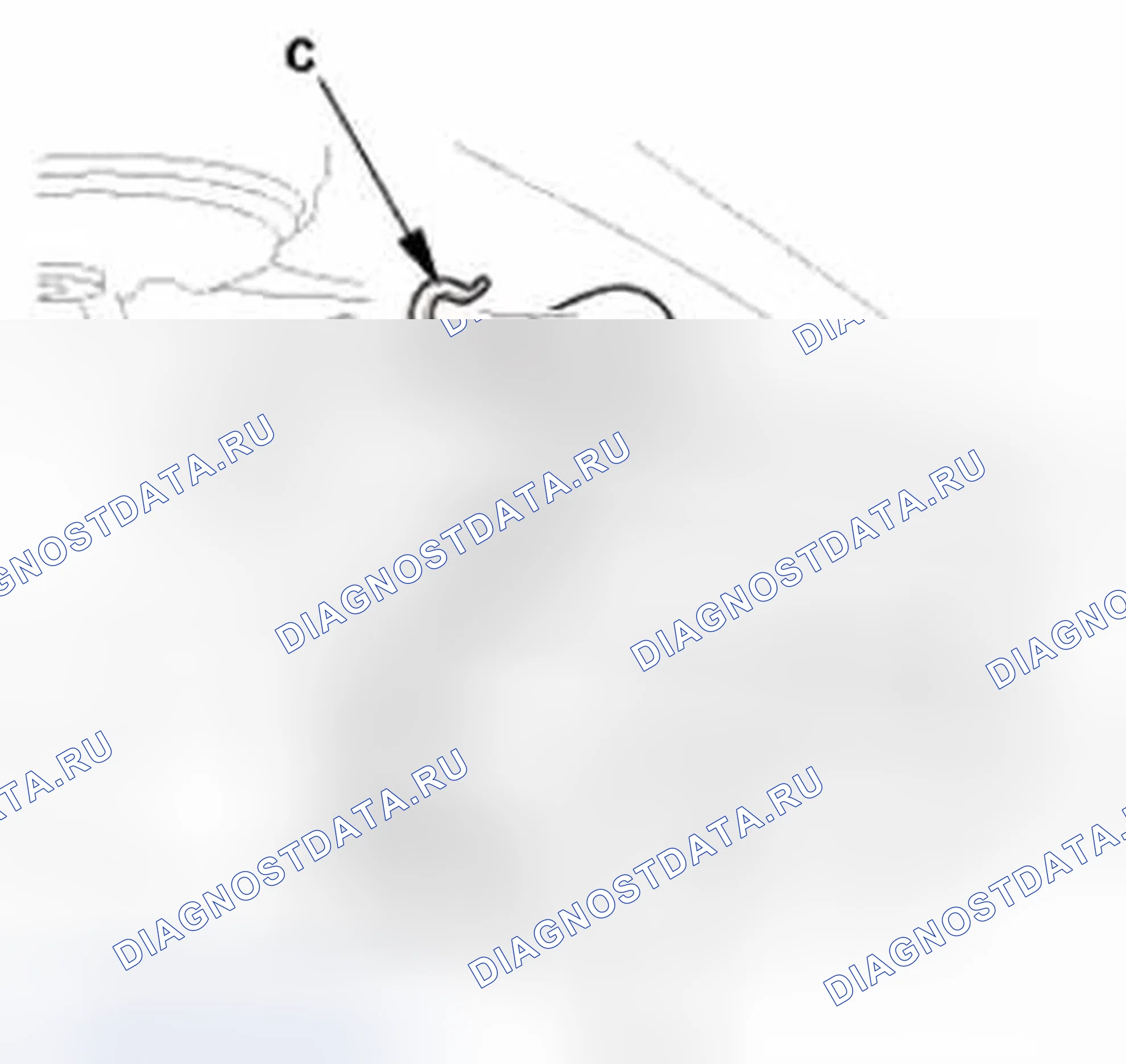 Рис. 239. Honda CR-V IV