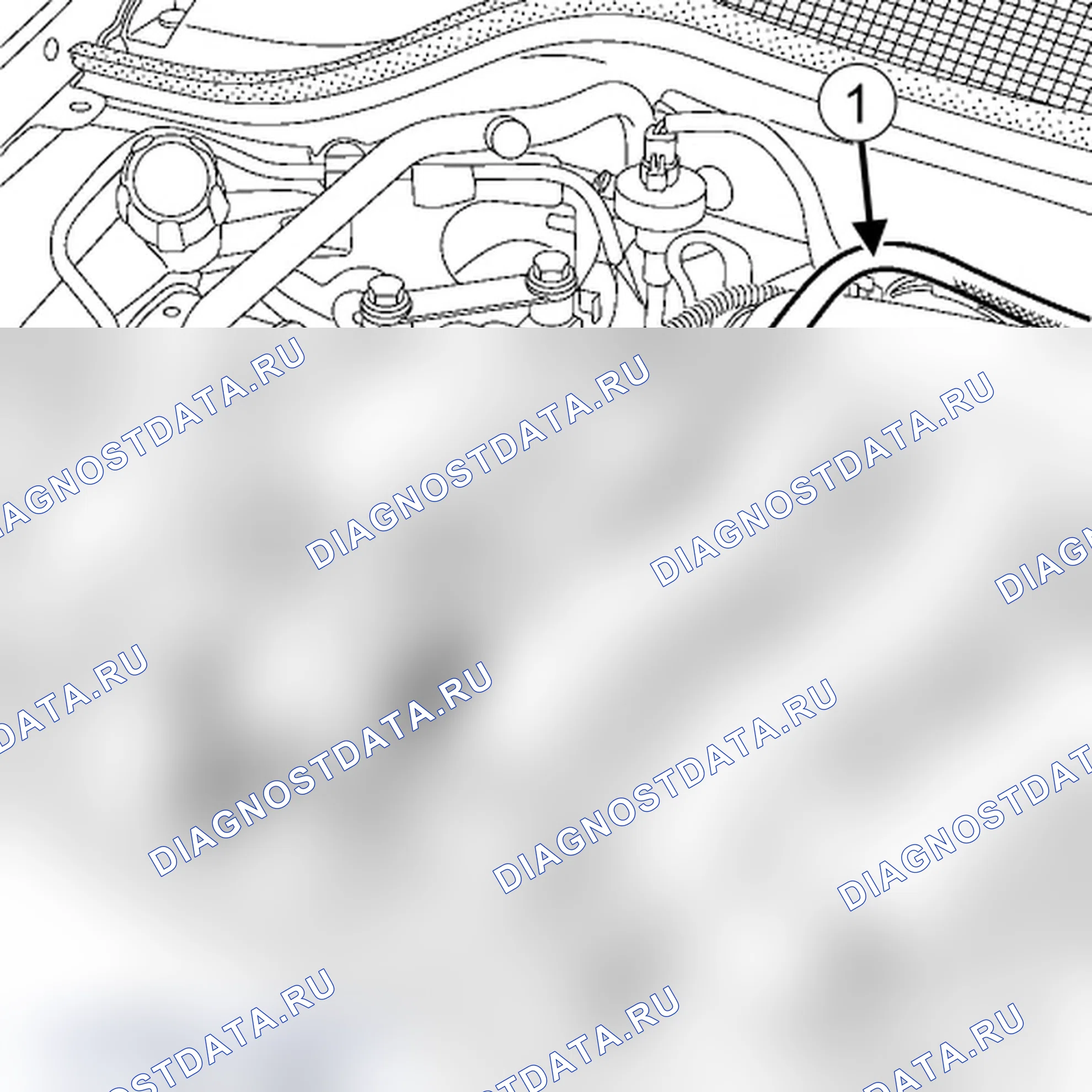 Расход топлива: проверка — вариант 2. Renault Scenic II