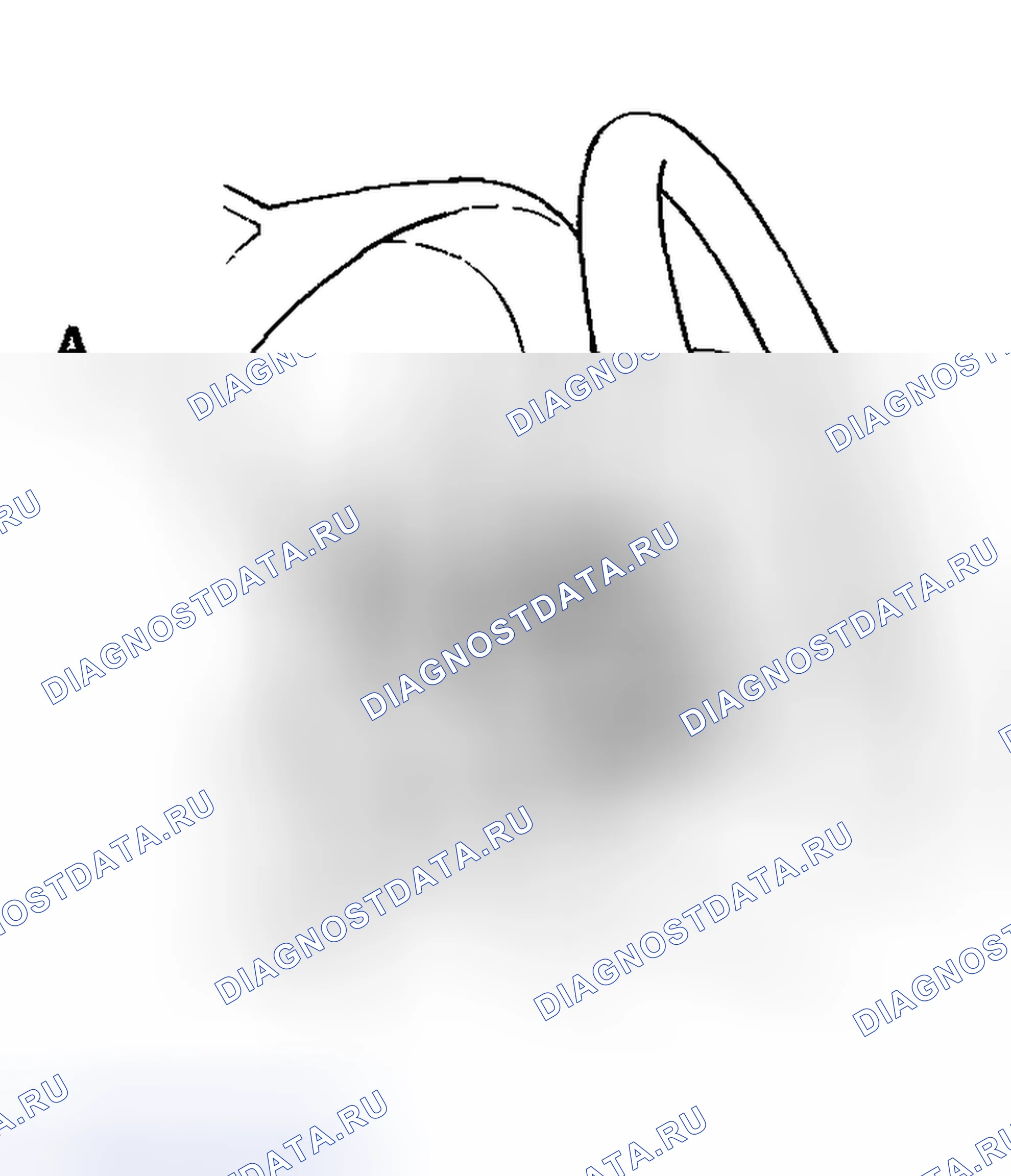 Рис. 67. Acura RSX I