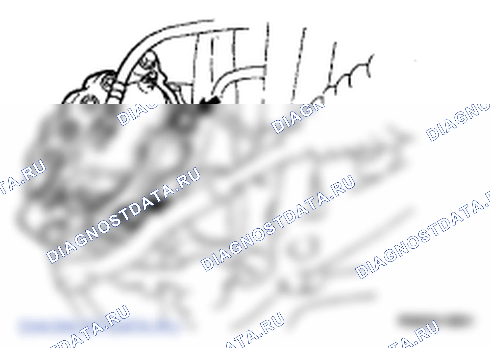 Рис. 5. Lexus SC II рестайлинг