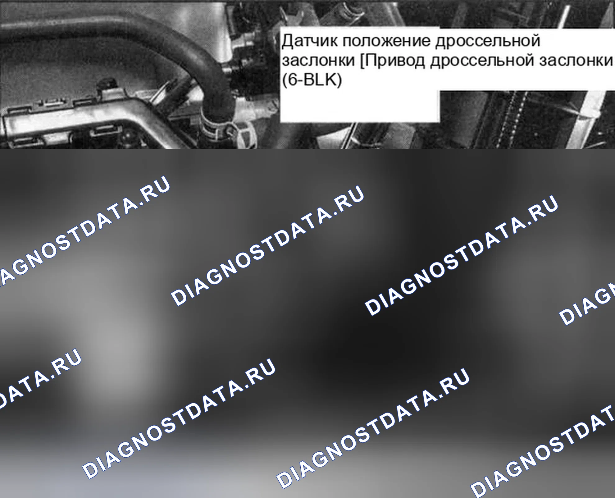 Рис. 14. Honda Element YH2 рестайлинг