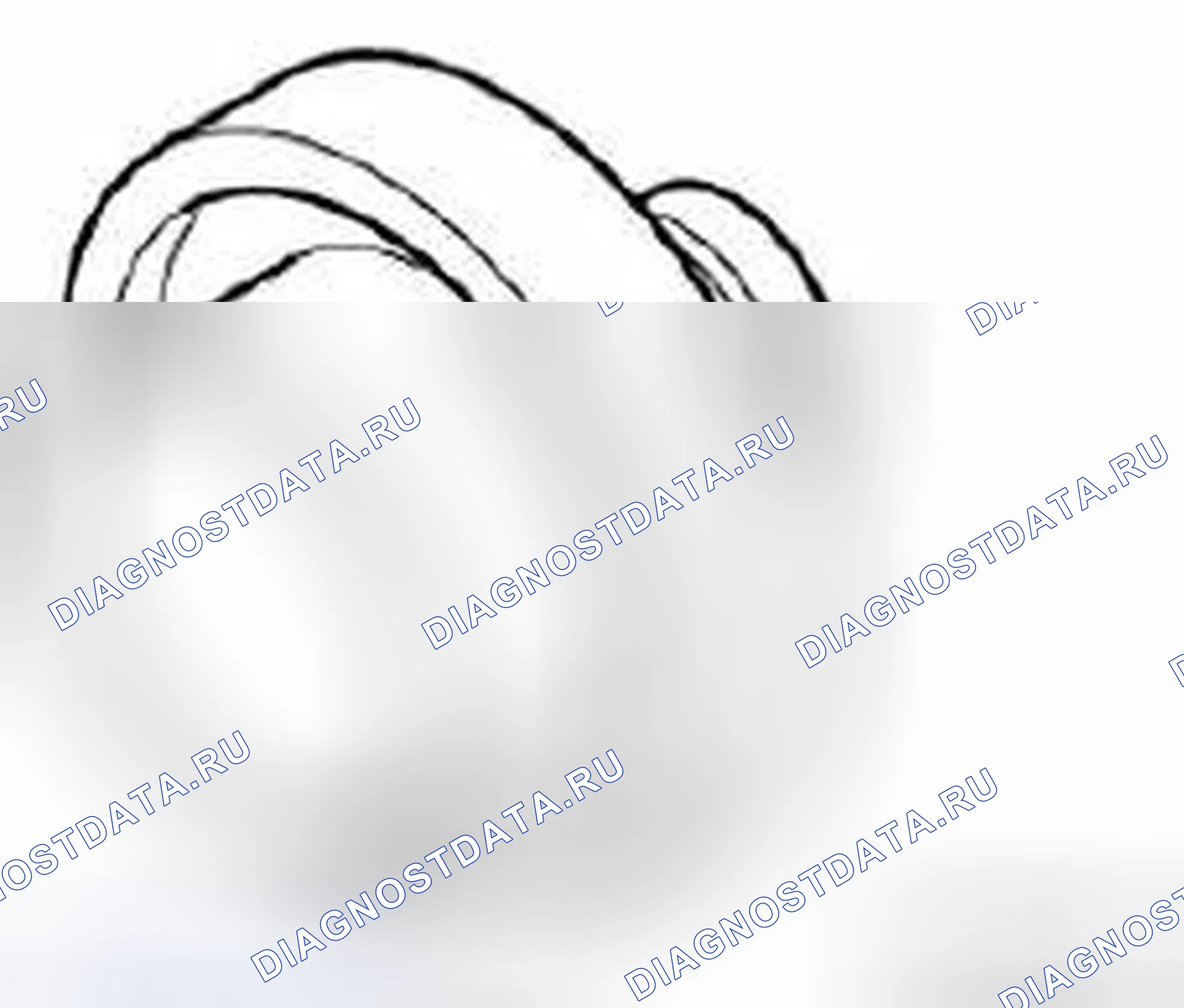 Рис. 312: 33 3 450 Дрейф. BMW X3 E83 рестайлинг