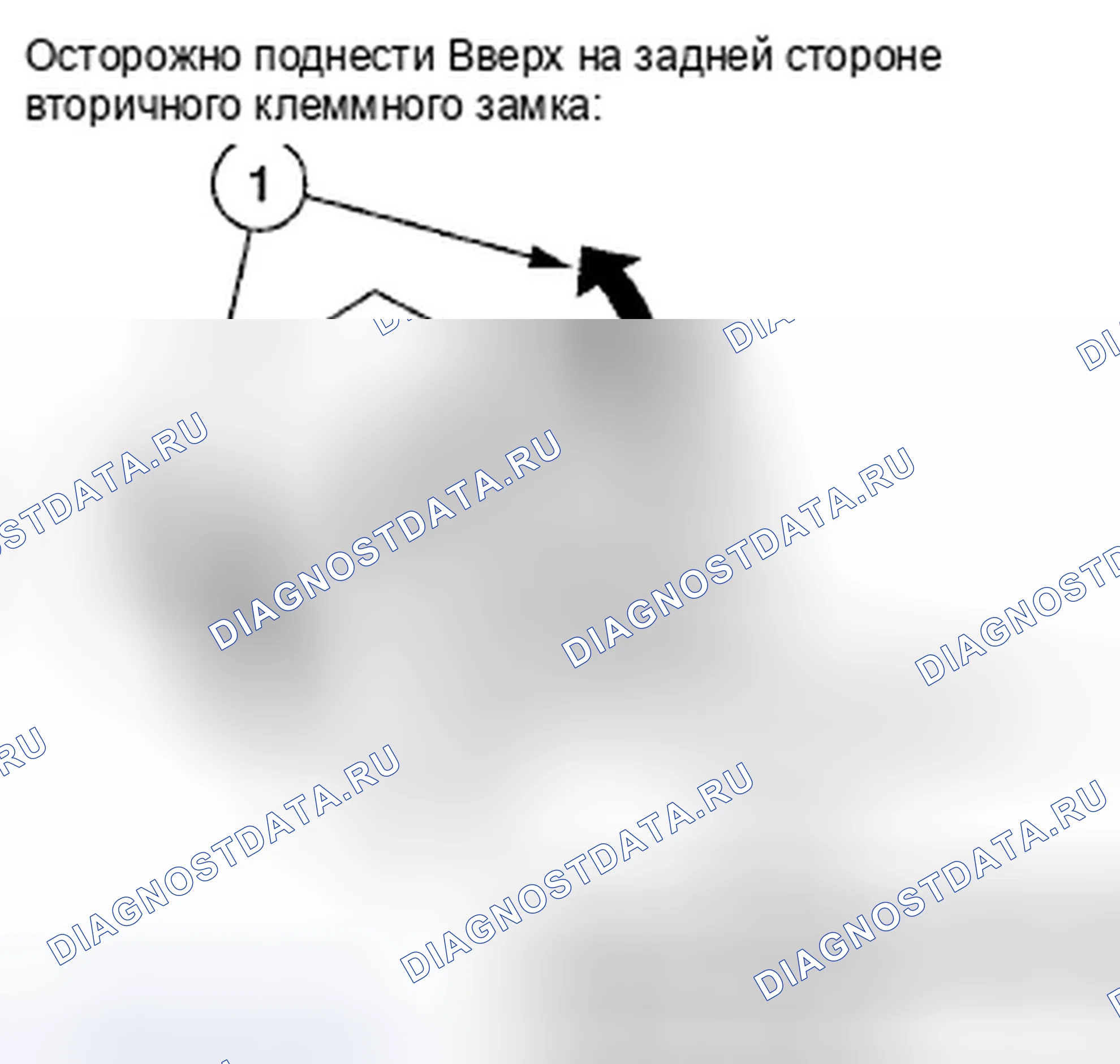 Рис. 1339. Honda Accord VII рестайлинг