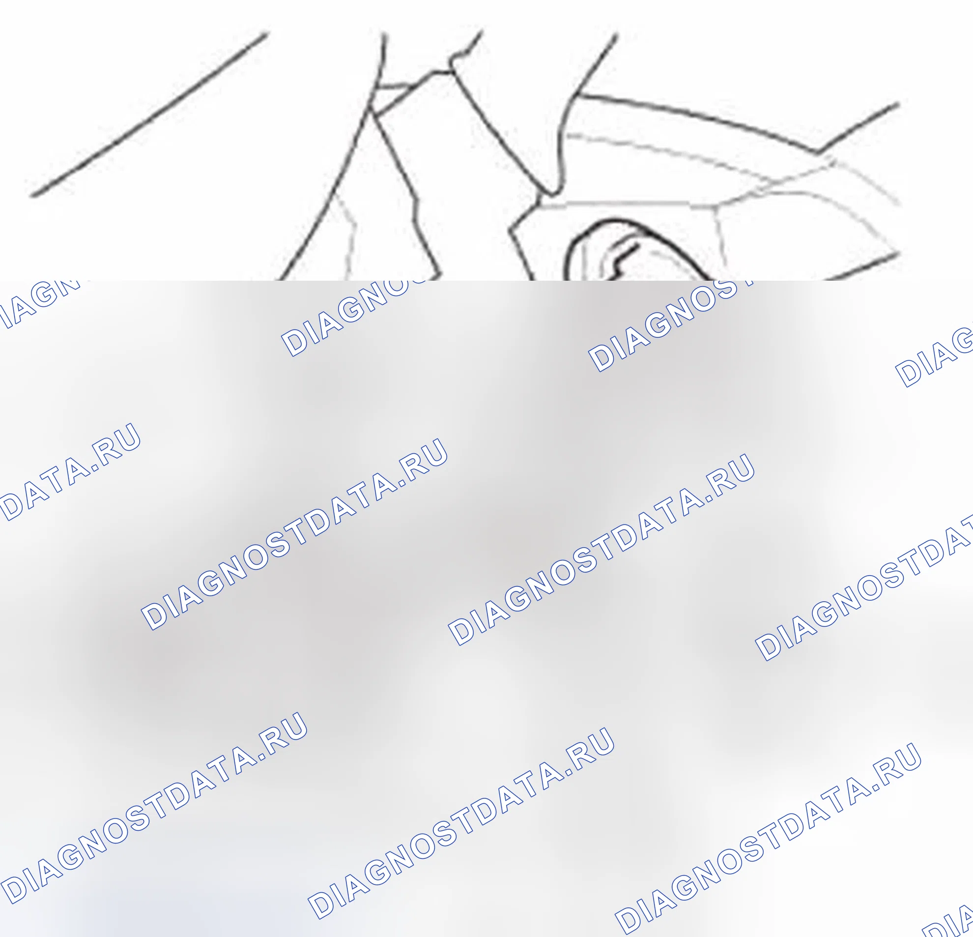Рис. 309. Honda Civic IX