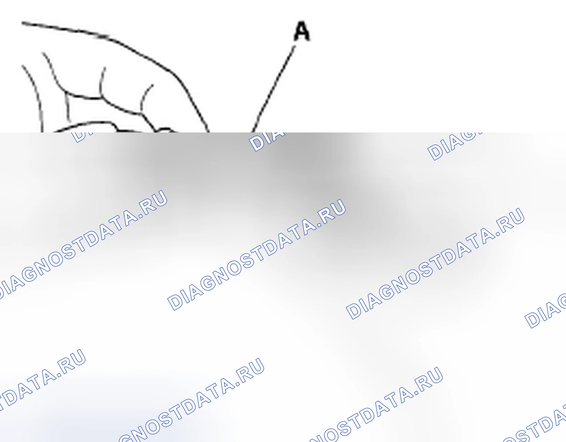 Рис. 621: Подключение. Honda Accord VII рестайлинг