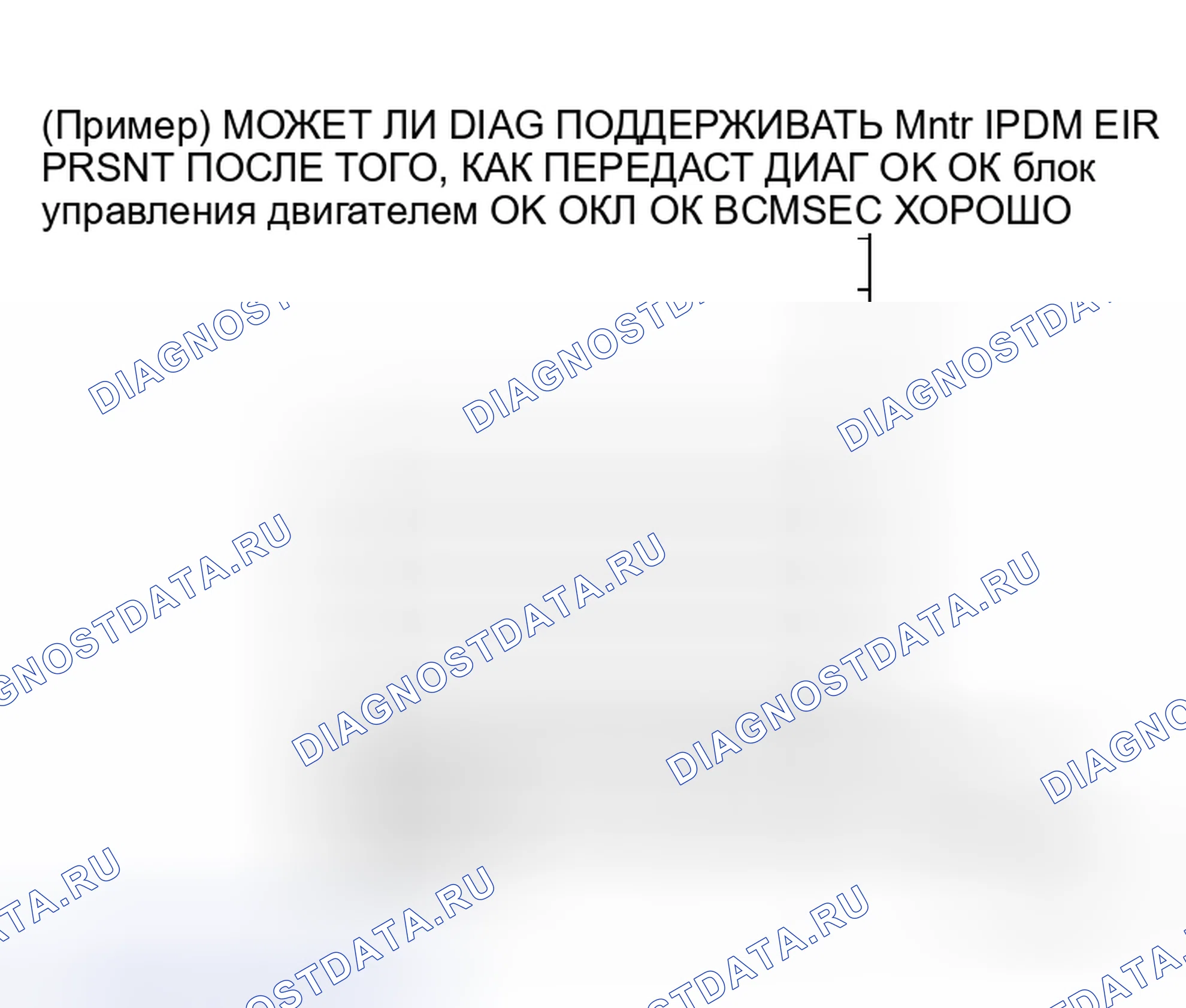 Рис. 26: ОПИСАНИЕ ЭКРАНА " CAN DIAG SUPPORT Mntr " ДЛЯ IPDM E / R. Honda S2000 I