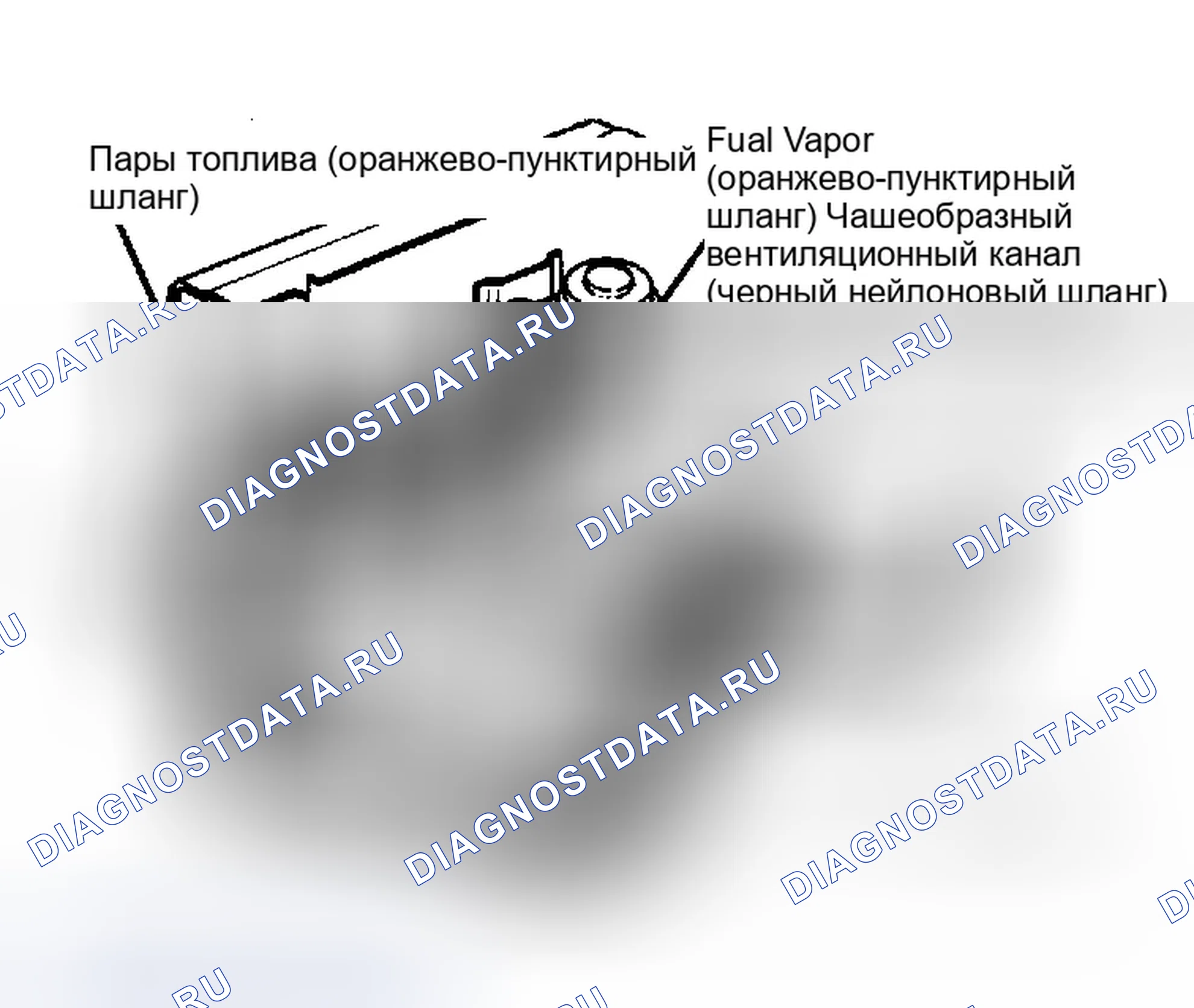 Рис. 42: Типичная разводка парового шланга для двойной канистры (модели " B "). Dodge Ram Van II