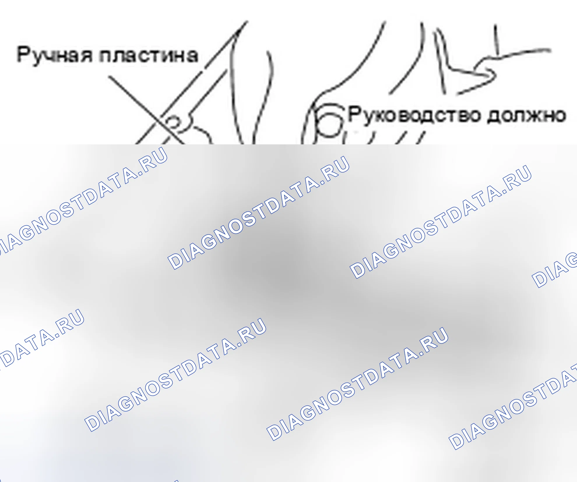 Рис. 261. Infiniti QX56 II
