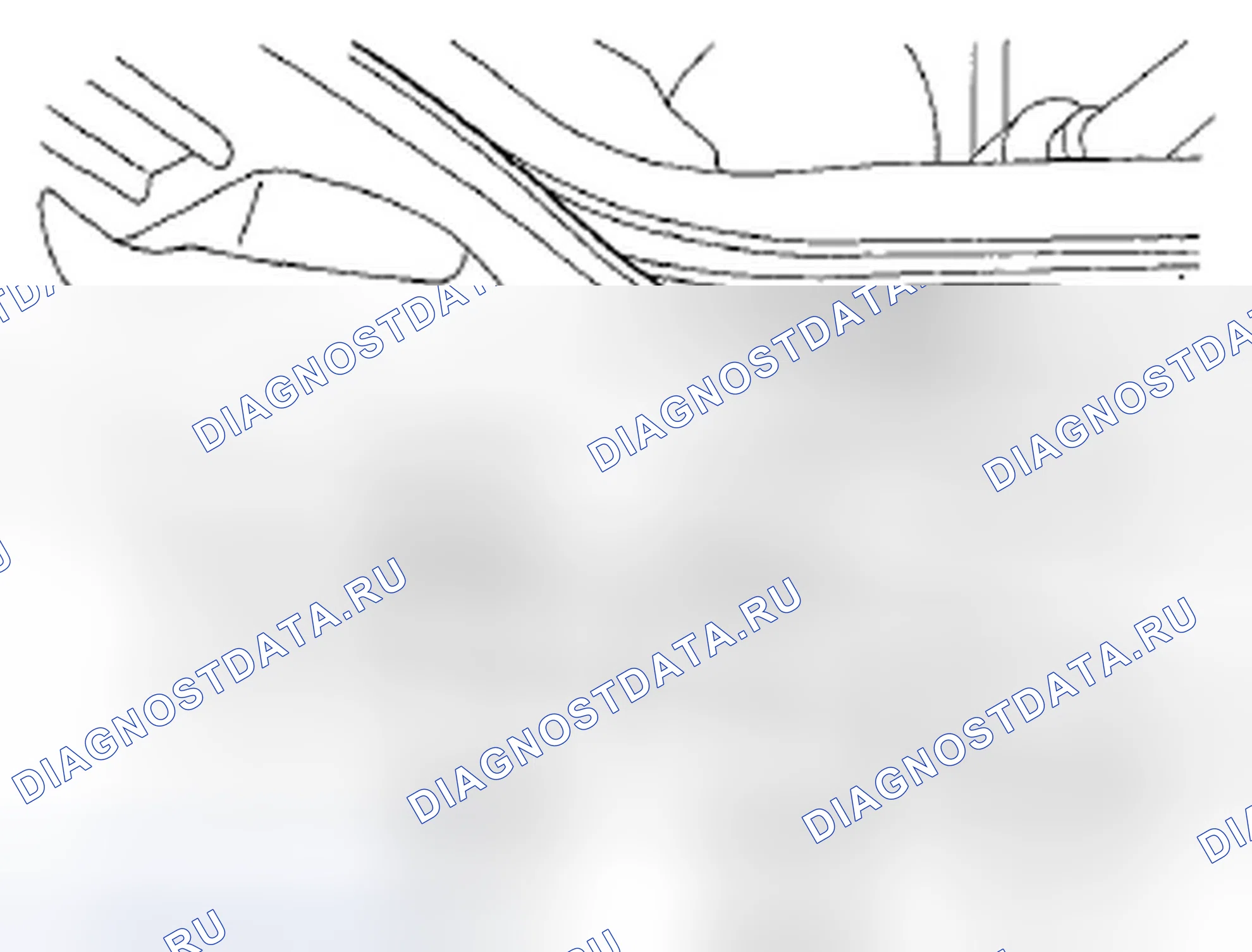 Рис. 719. Honda Crosstour I