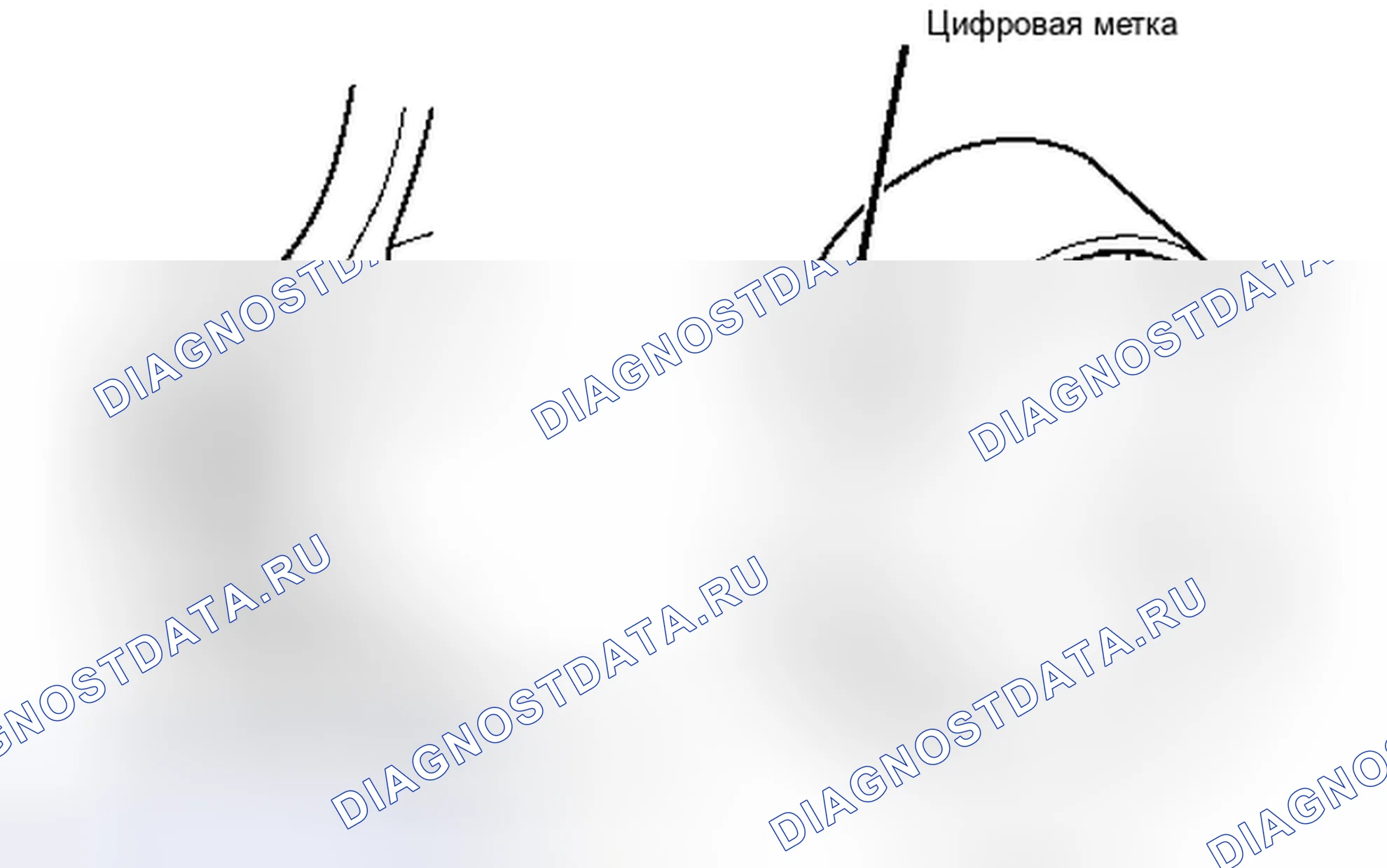 Рис. 346. Toyota Tacoma II рестайлинг