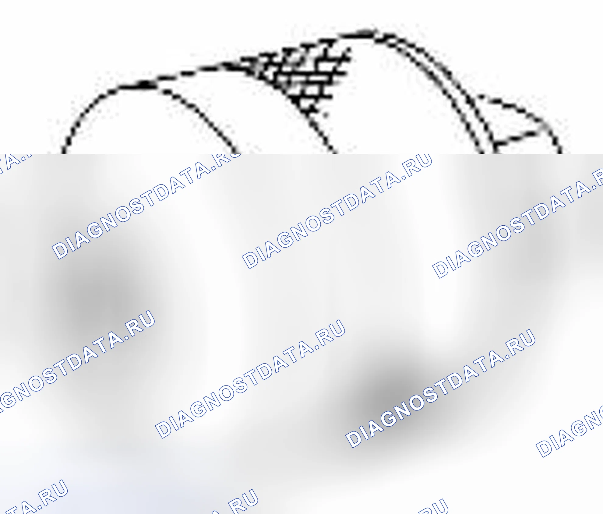 Рис. 320. Suzuki Equator I