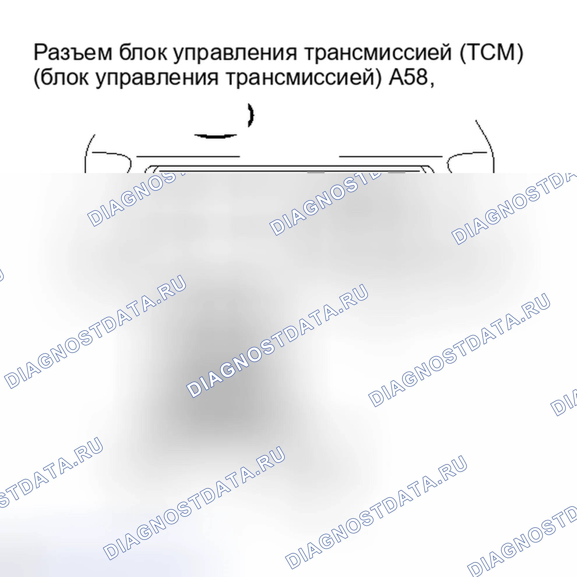 Рис. 400. Lexus IS F I