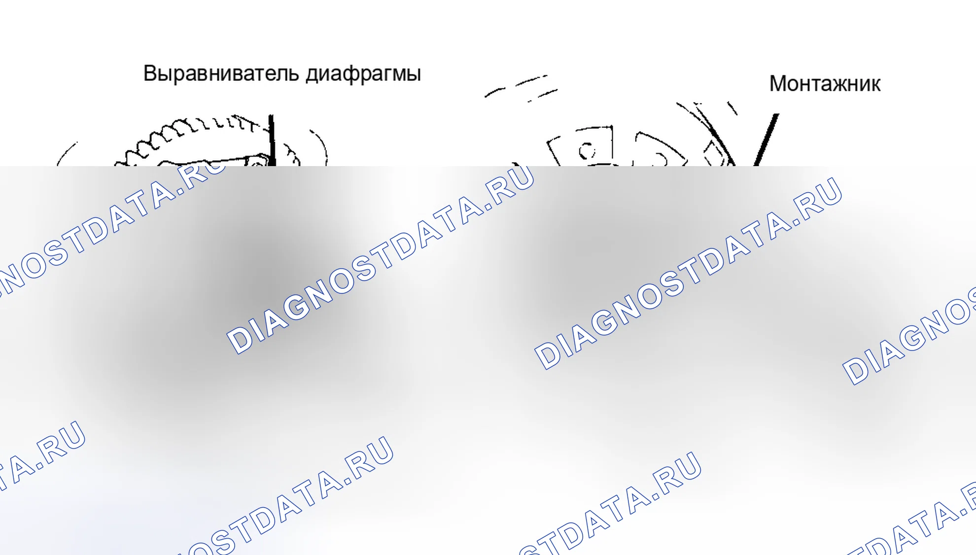 Рис. 2. Toyota Camry V20