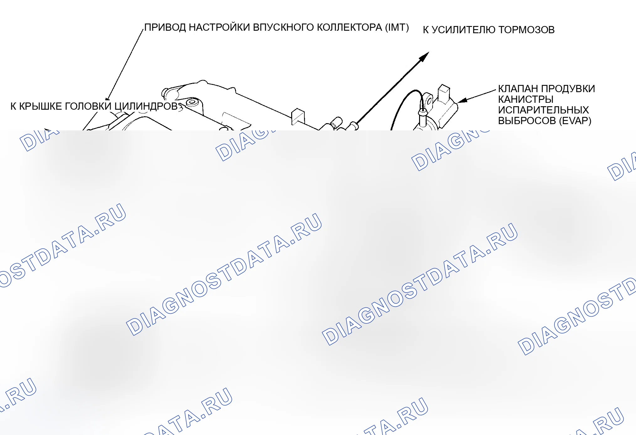 Рис. 13: Трассировка вакуумного шланга. Honda Ridgeline I