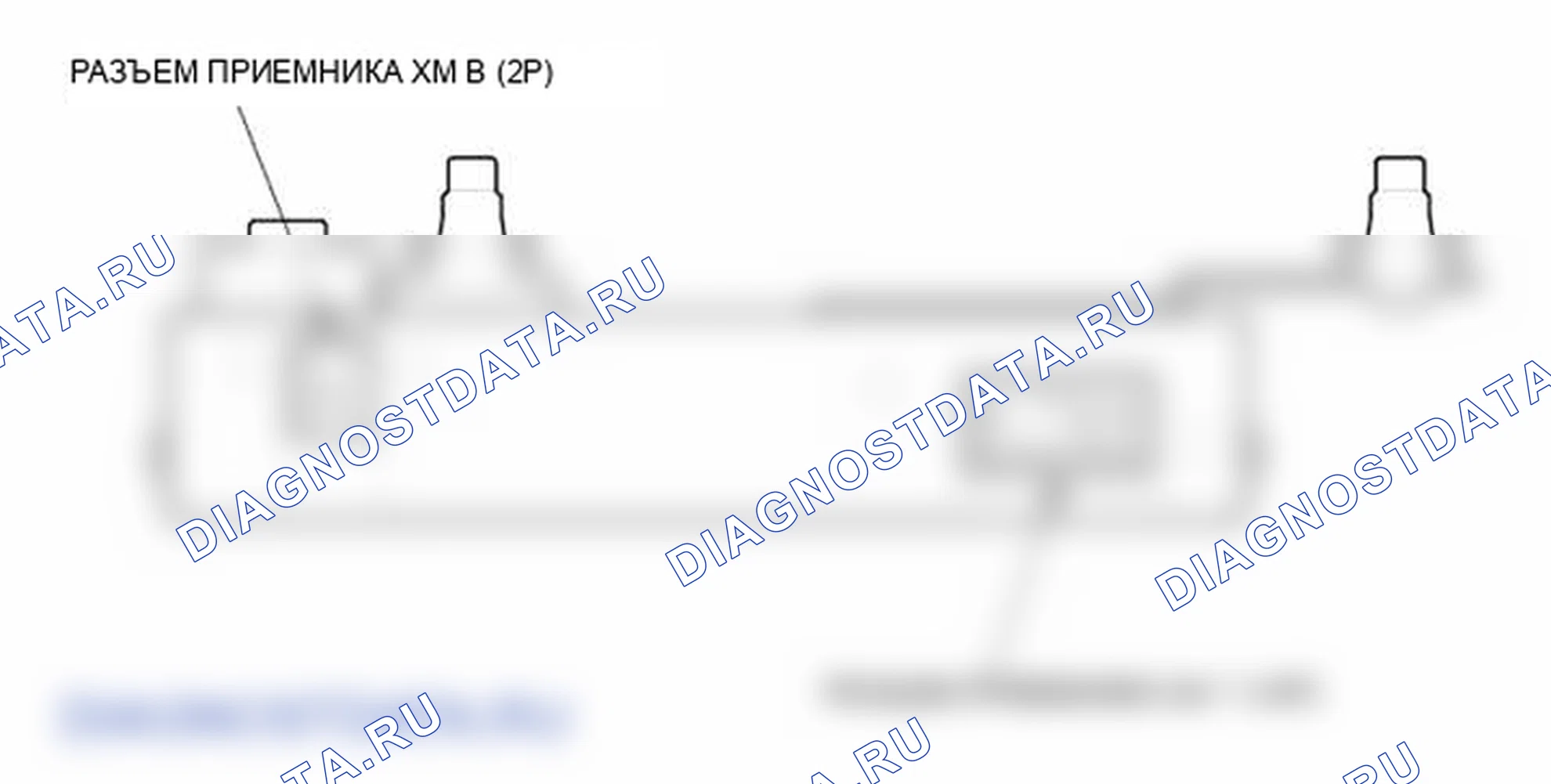 Рис. 43: Входы и выходы разъема приемника Xm (с Xm). Honda Element YH2 рестайлинг 2
