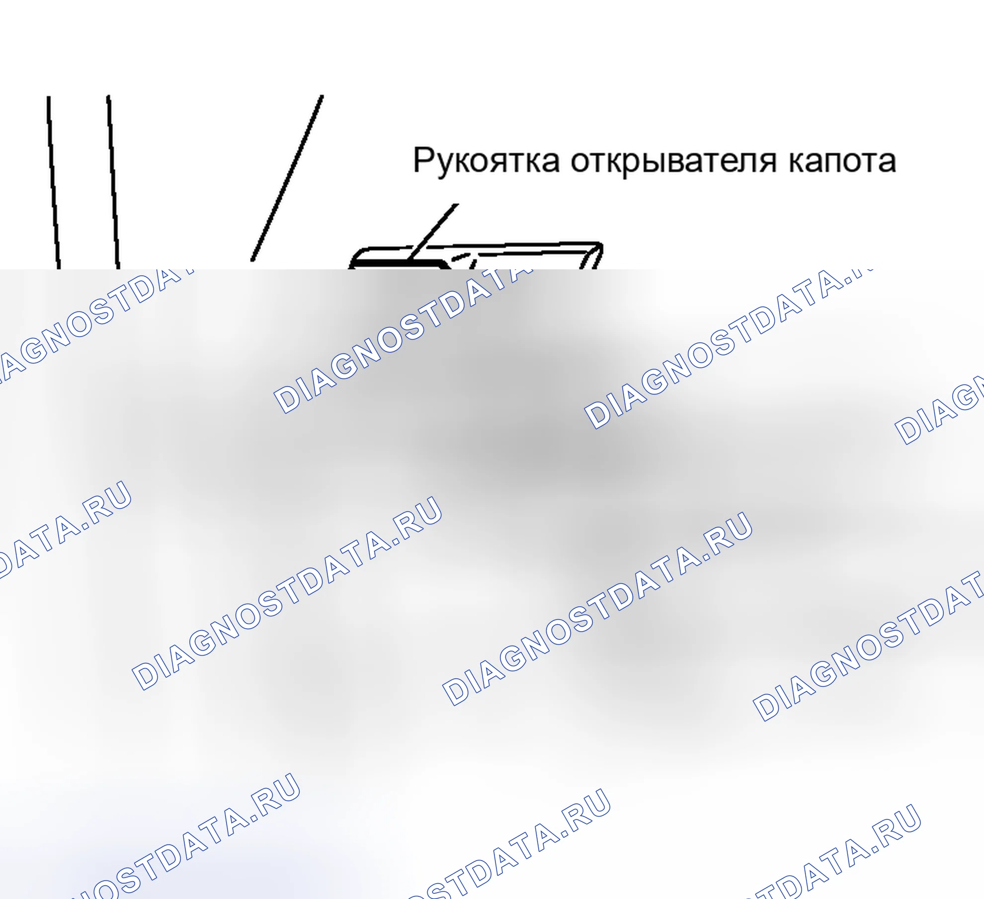 Рис. 1. Nissan Murano Z50