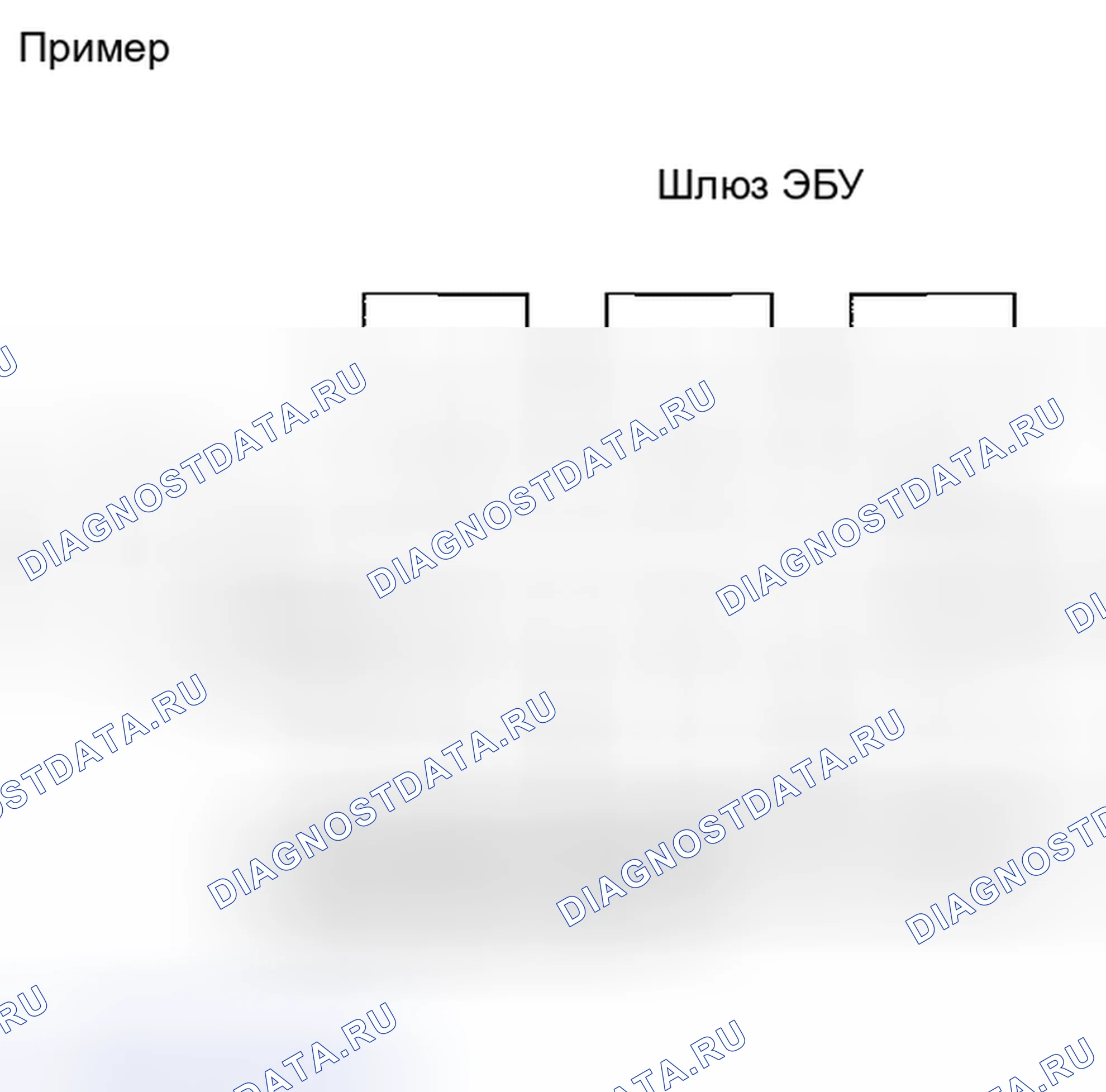 Рис. 41. Lexus IS F I