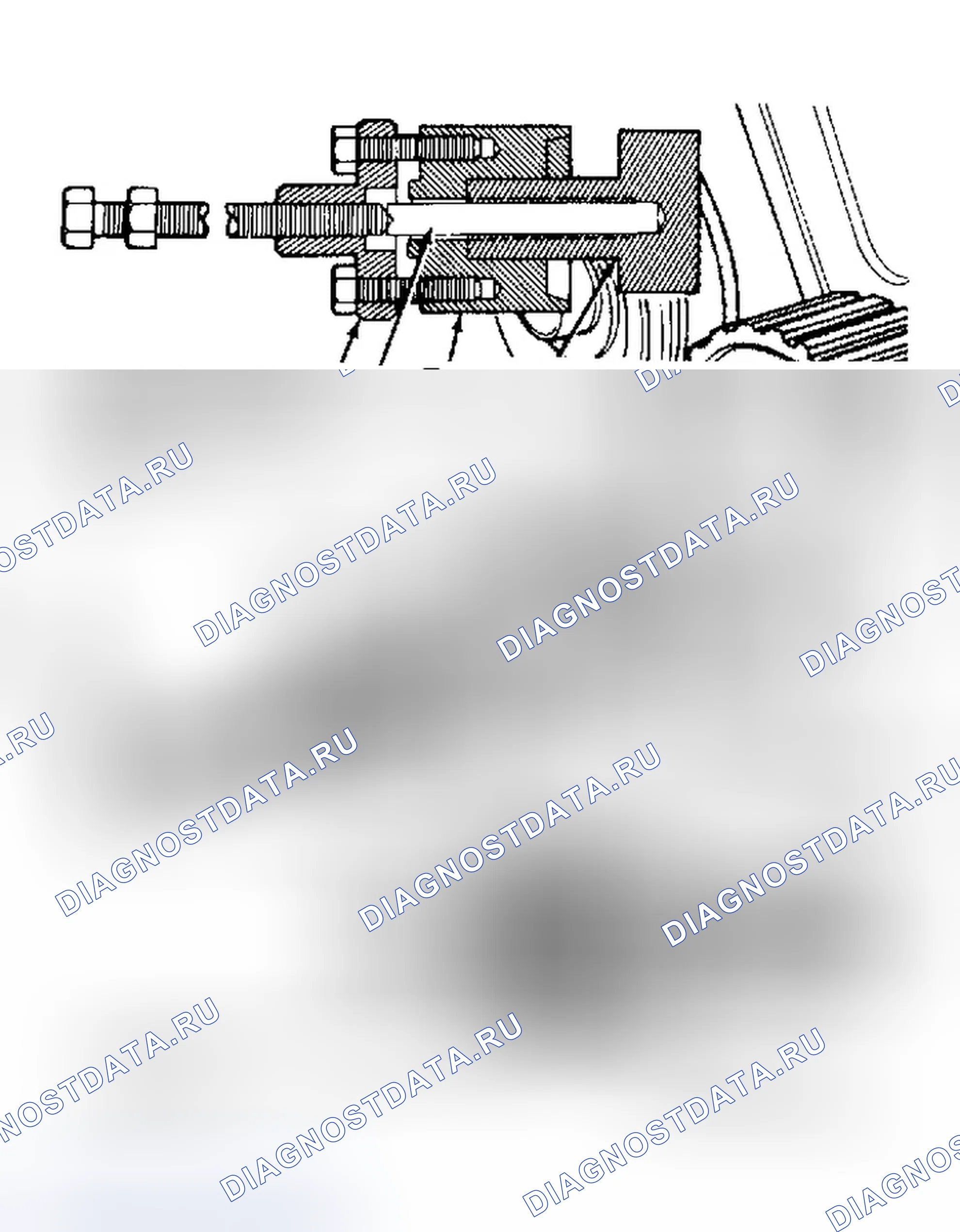 Рис. 4. Dodge Dakota WS 
