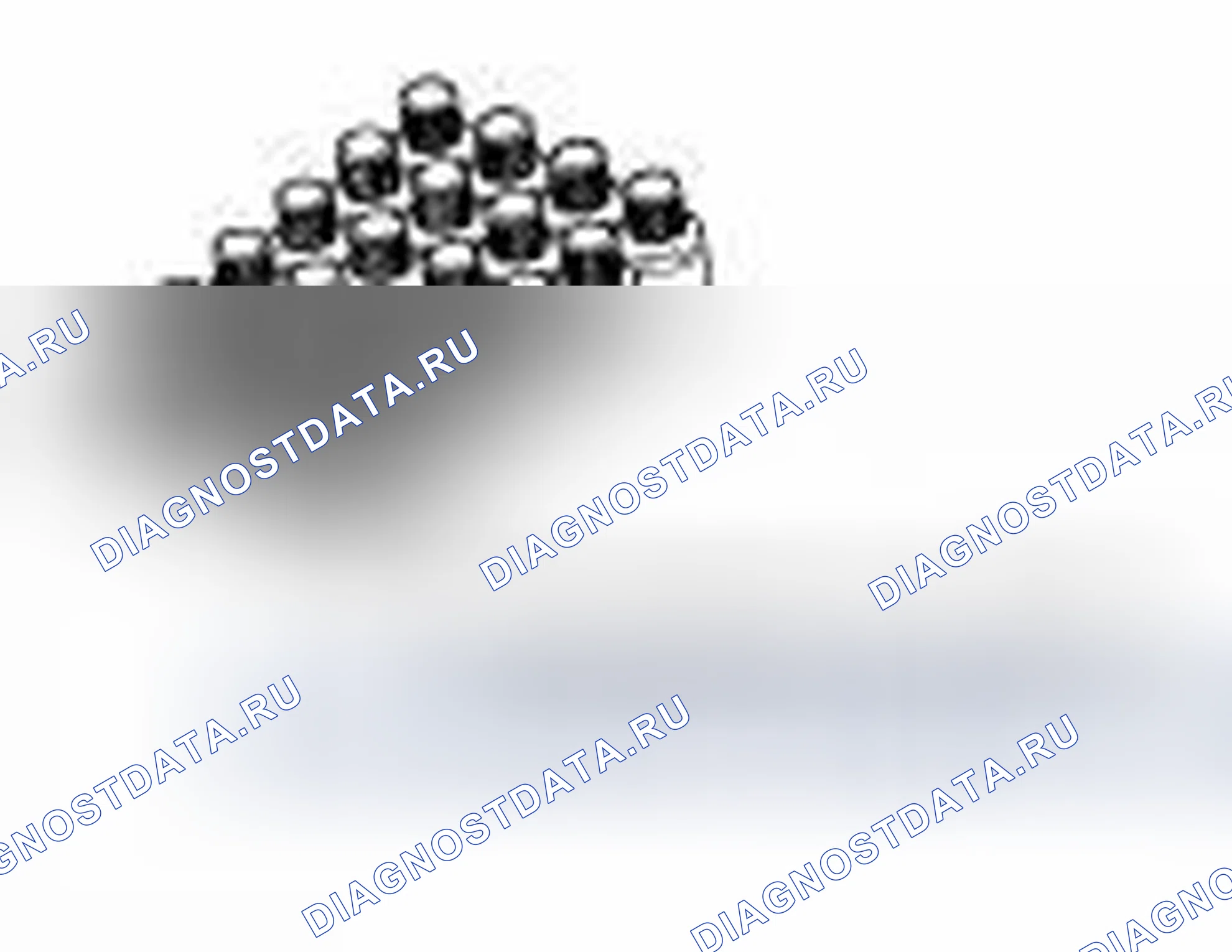 Рис. 221. Infiniti FX35 II рестайлинг