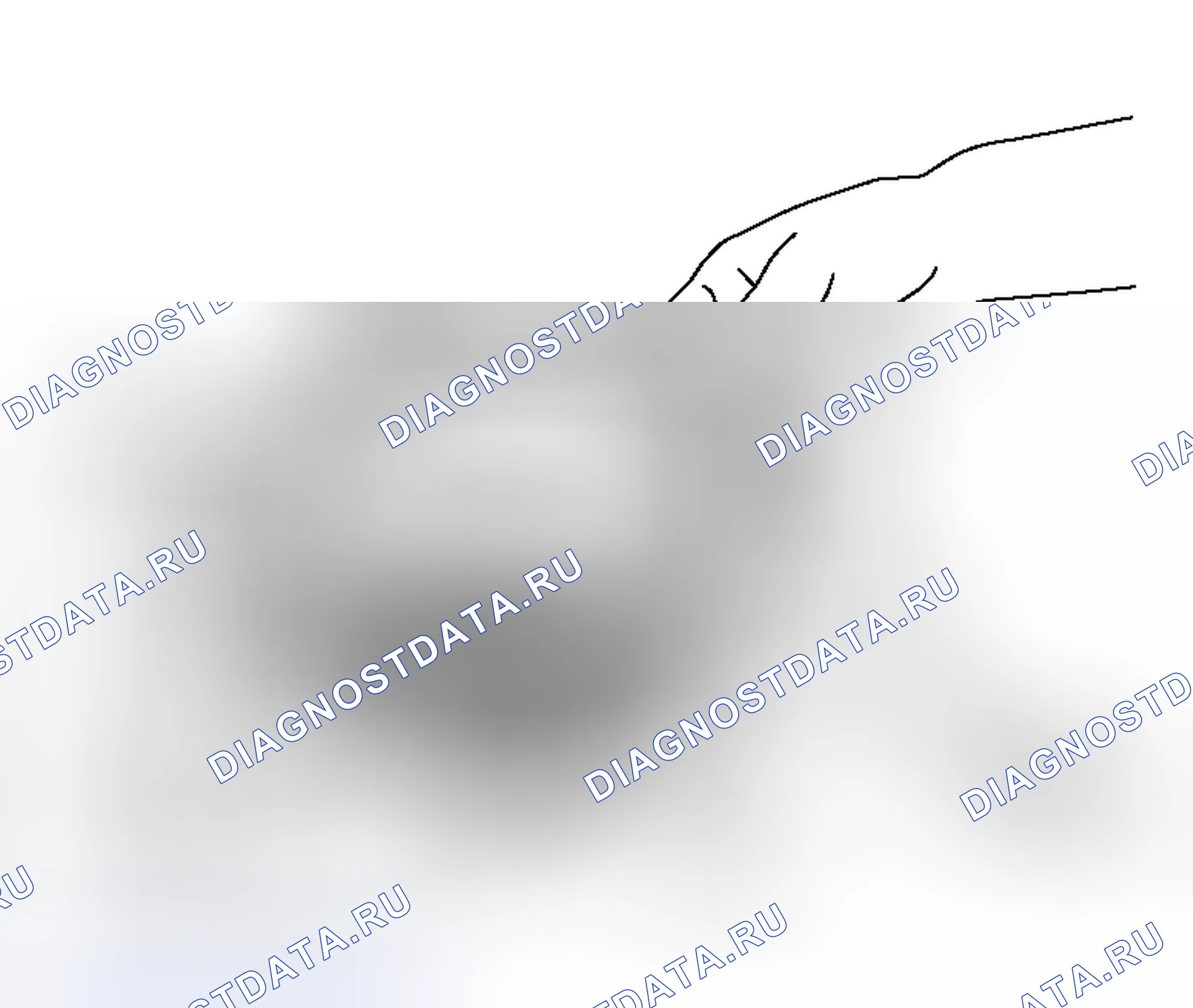 Рис. 427. Honda Envix I