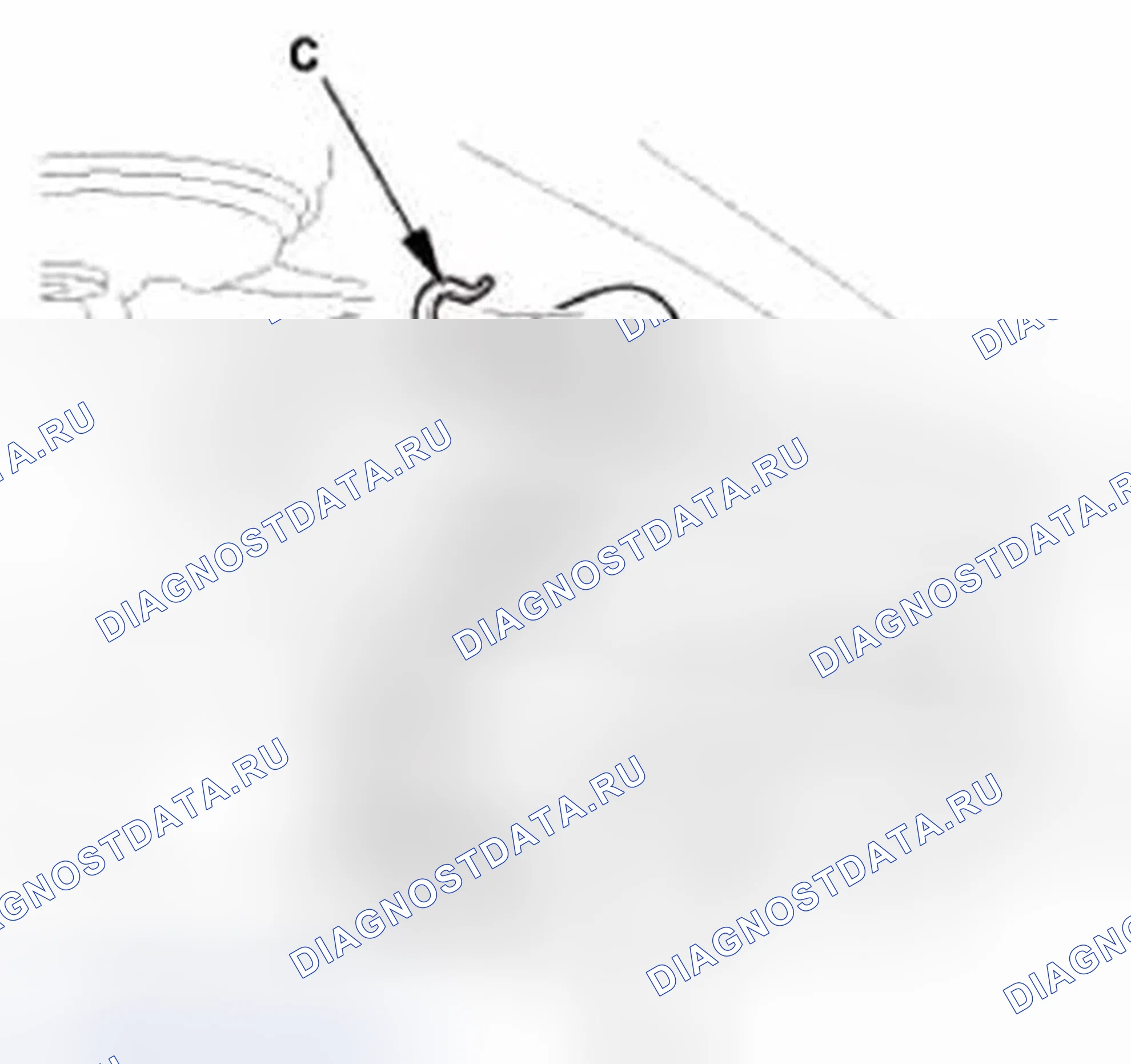 Рис. 304. Honda CR-V IV
