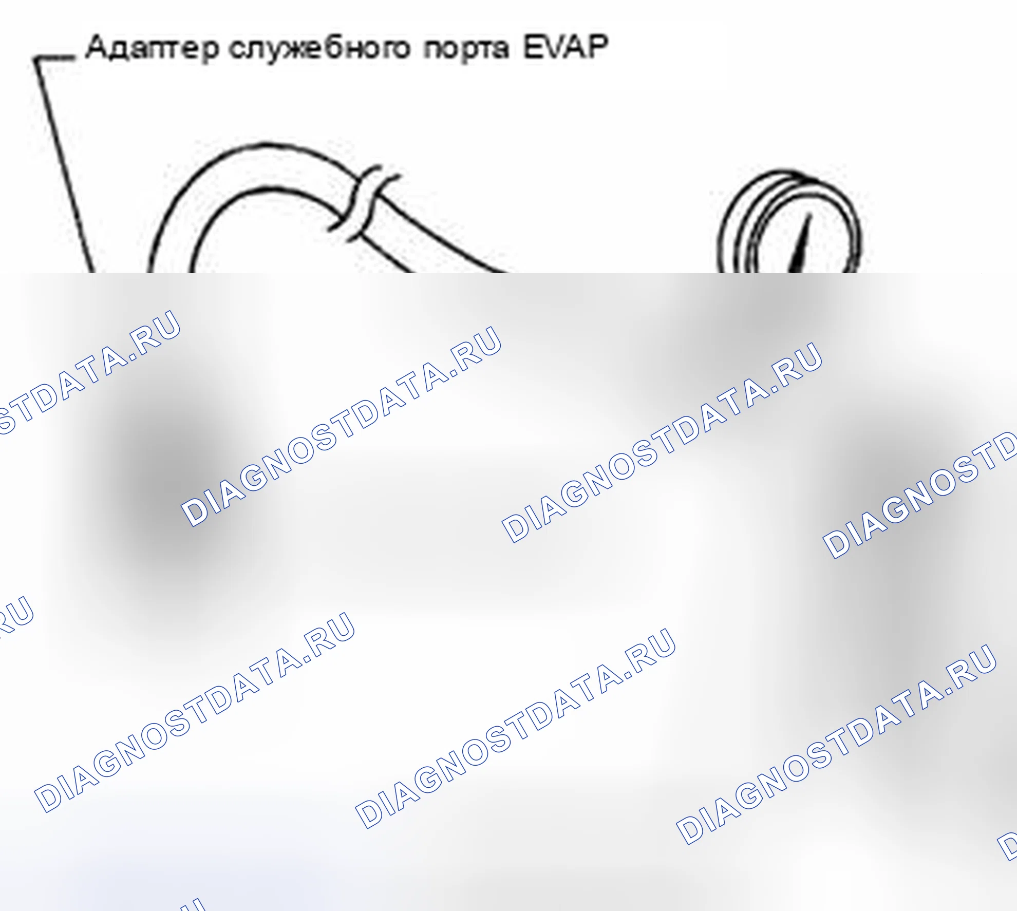Рис. 13: БЕЗ SDT. Suzuki Equator I