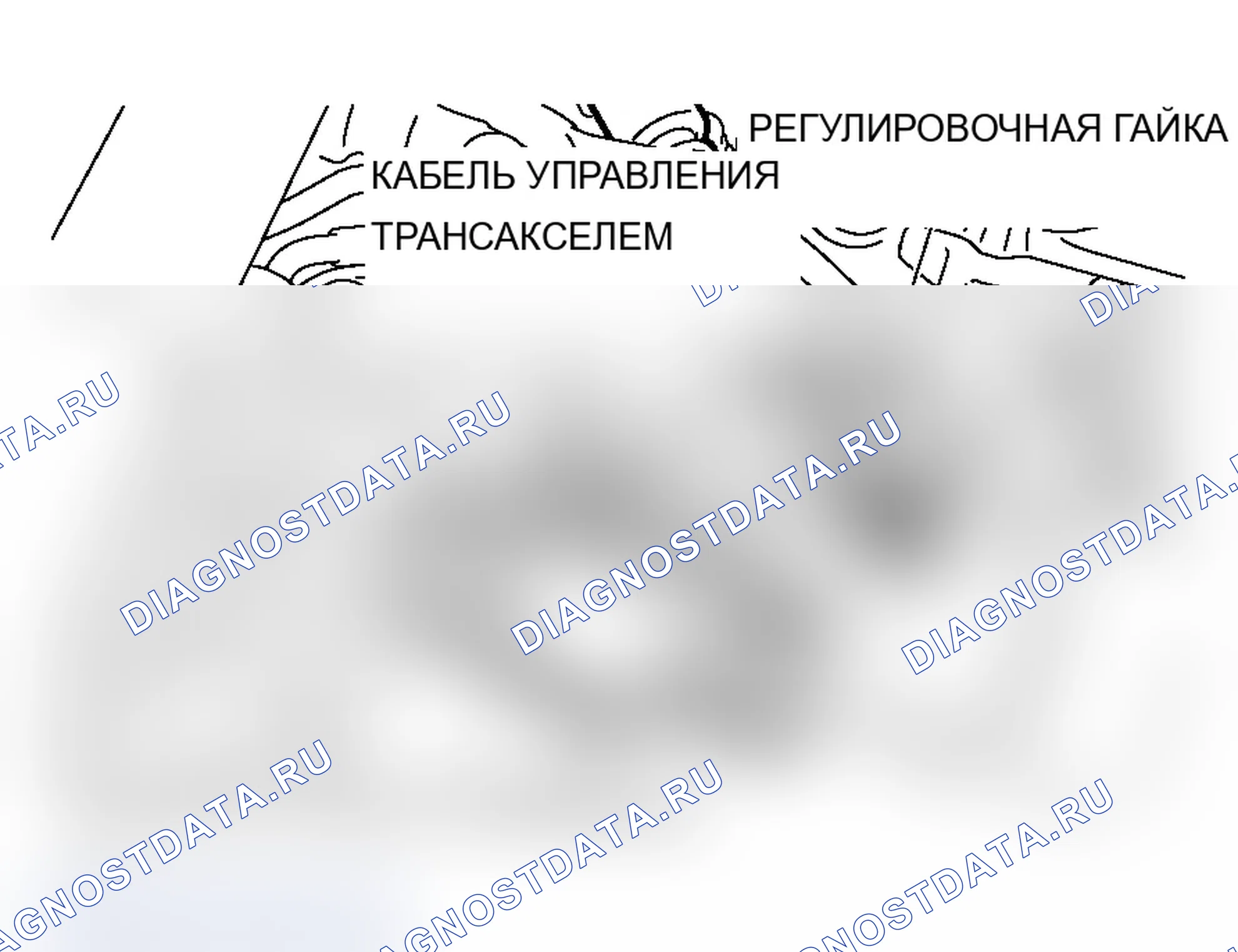 Рис. 501. Mitsubishi Lancer Evolution IX