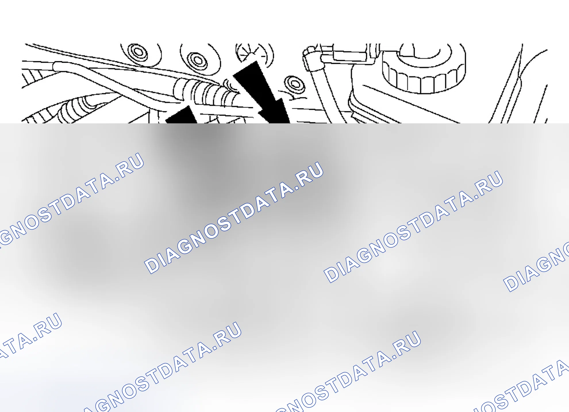 Рис. 1177. Ford Focus I рестайлинг