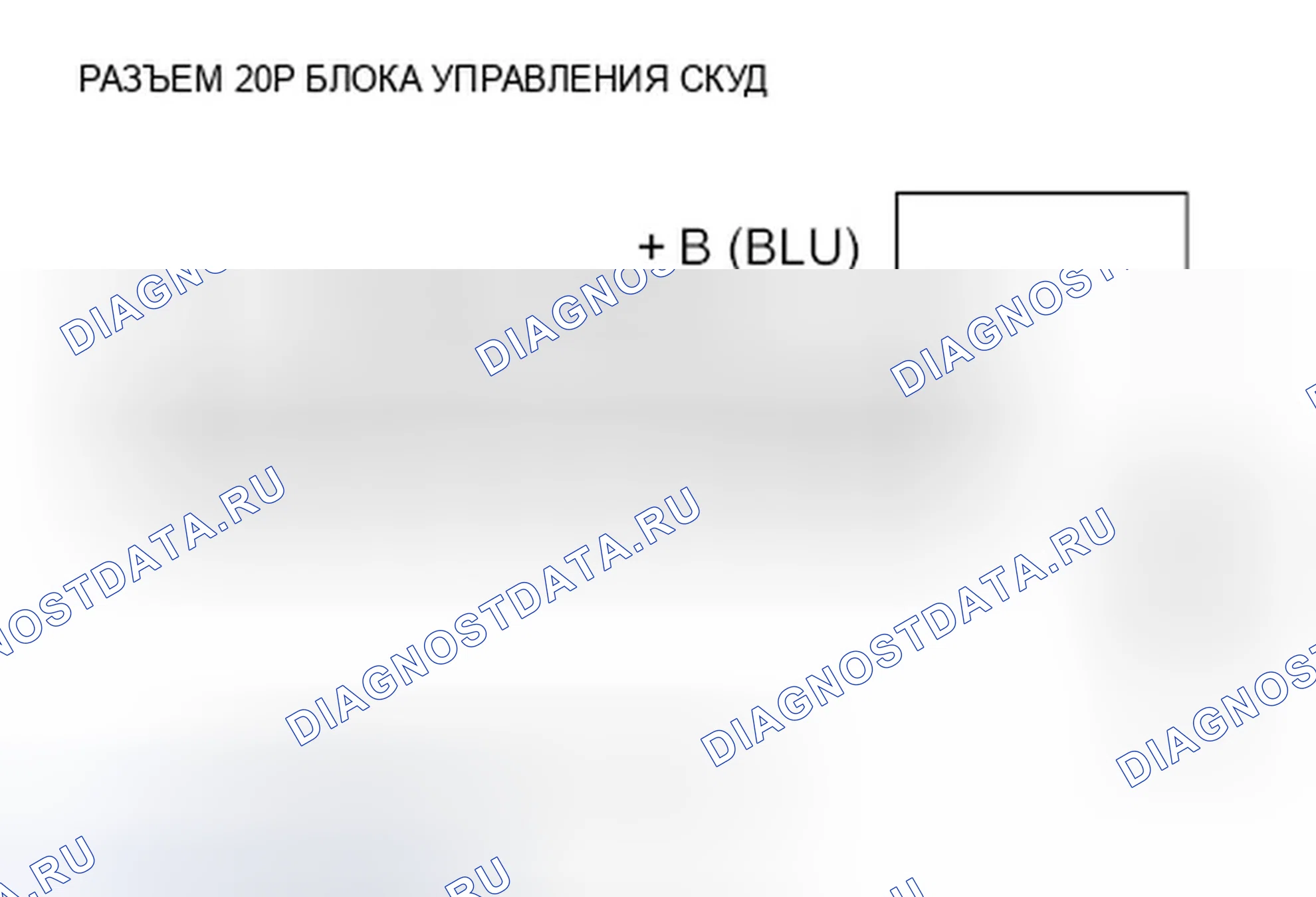 Рис. 29: Индикатор TPMS не гаснет, и коды неисправностей не сохраняются. Honda CR-V III
