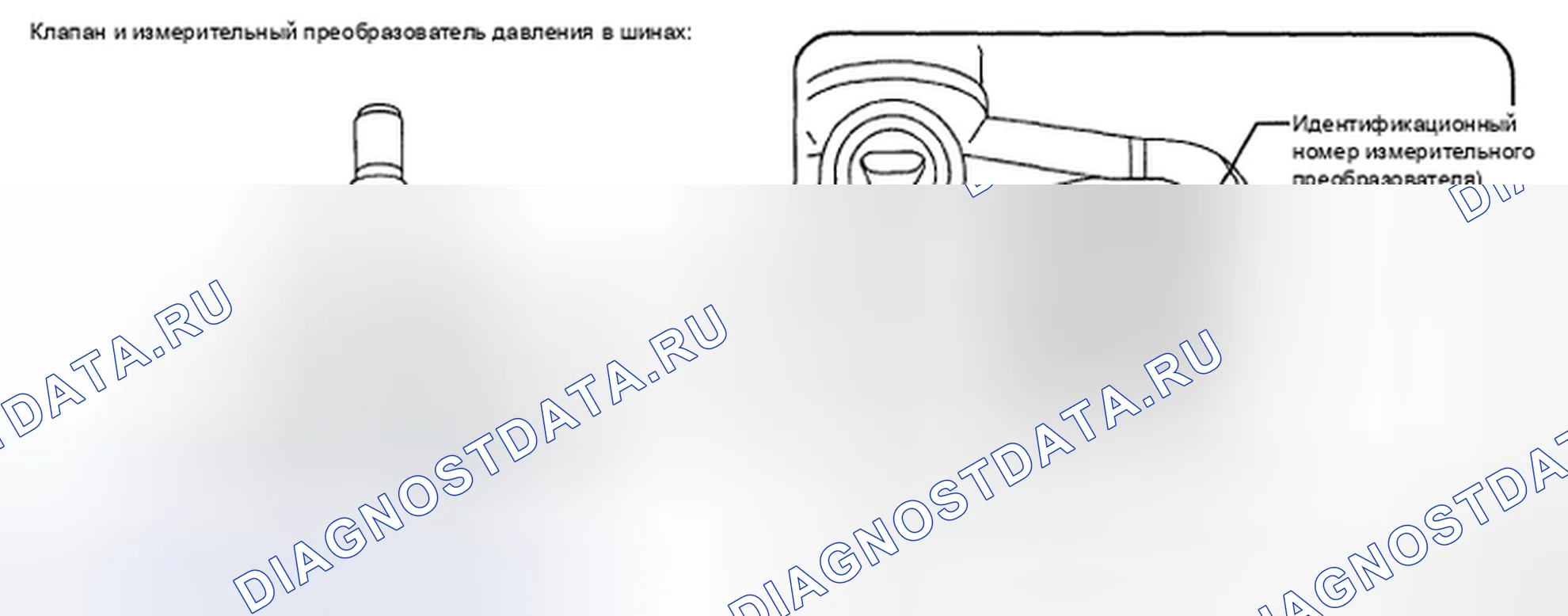 Рис. 50. Toyota Camry XV40