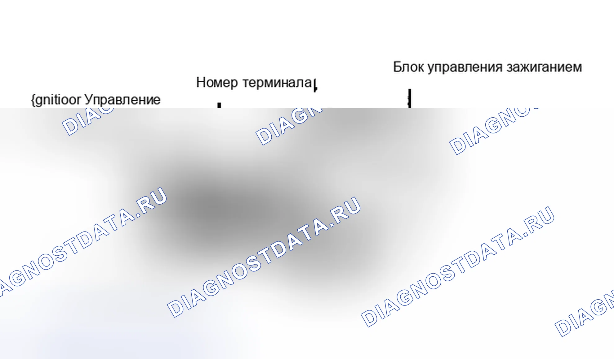 Рис. 6. Volkswagen Fox G1