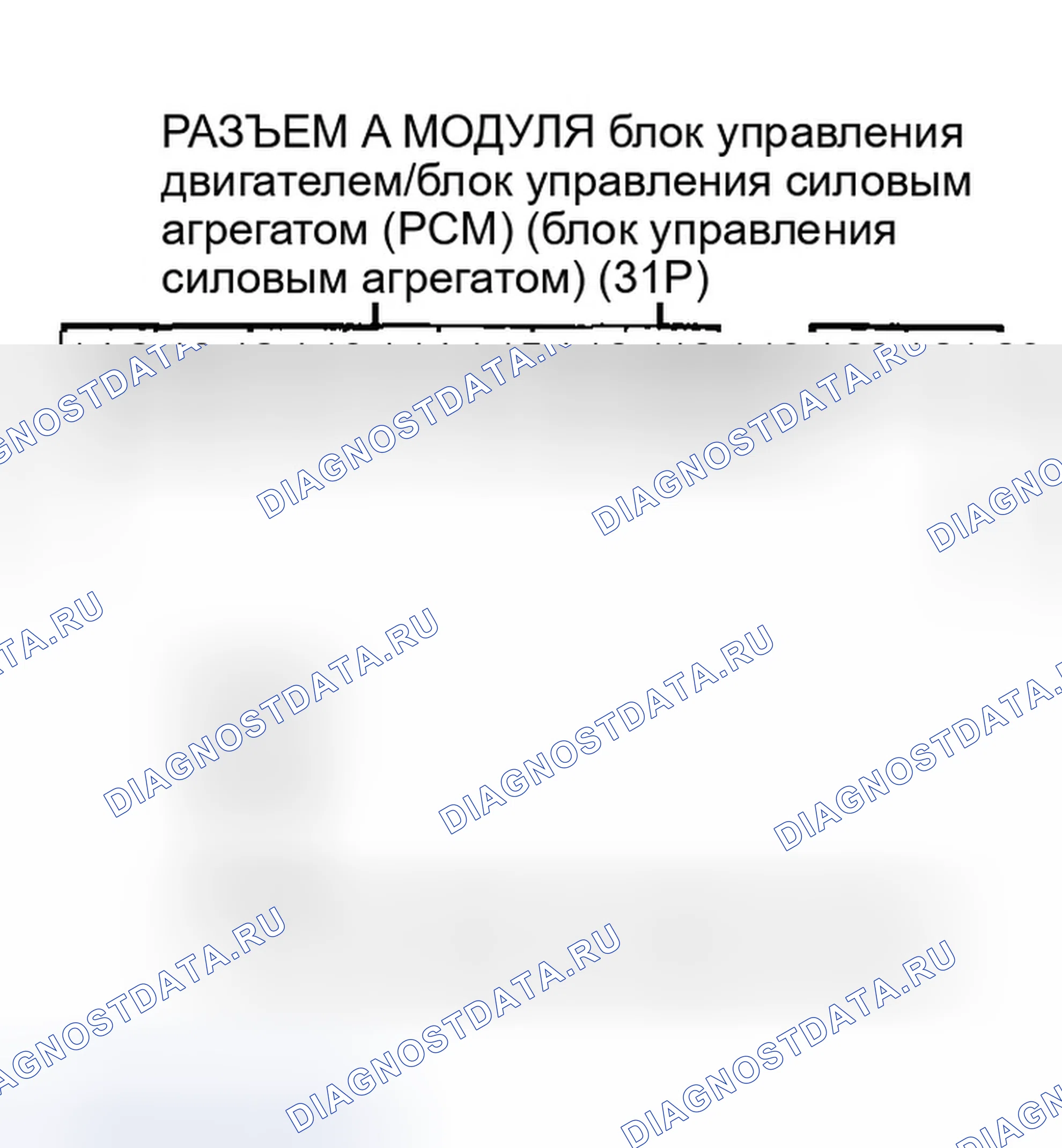 Рис. 317. Honda Accord VII