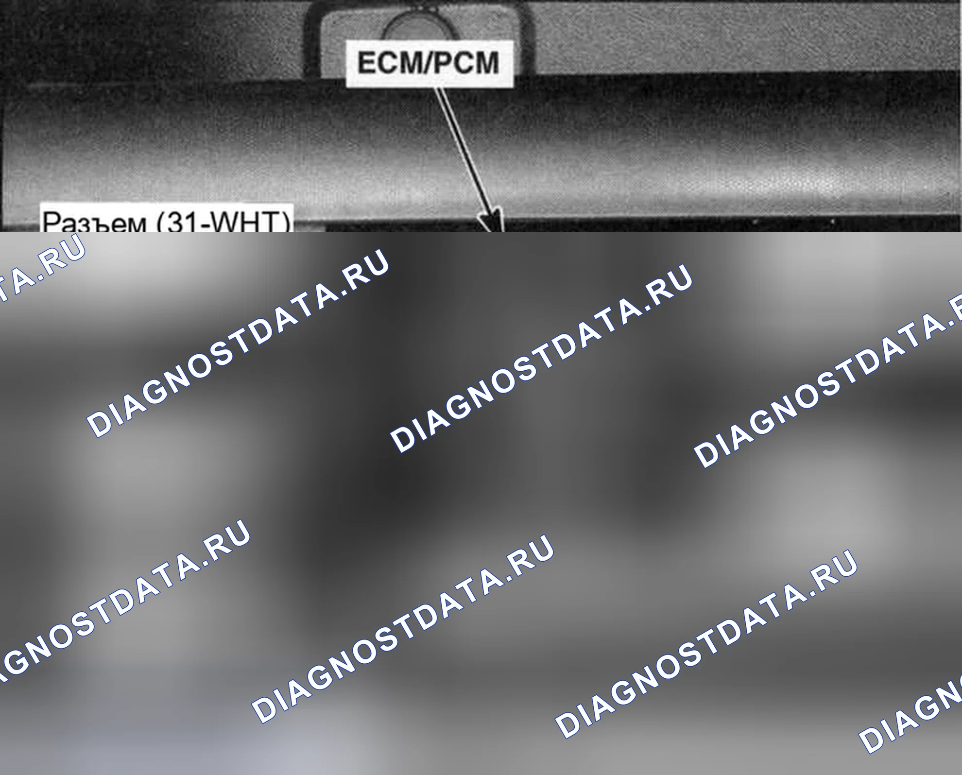 Рис. 46. Honda Element YH2 рестайлинг