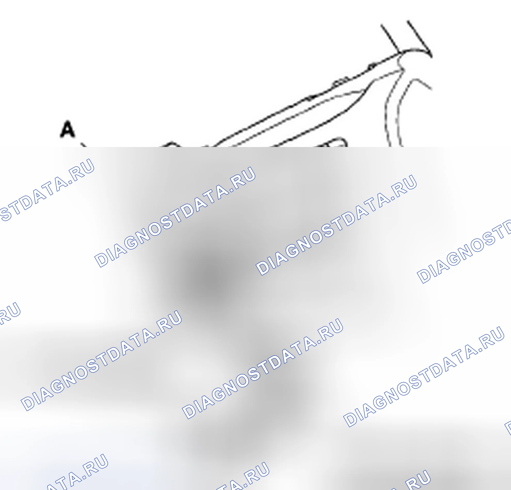 Рис. 25. Honda Ridgeline I