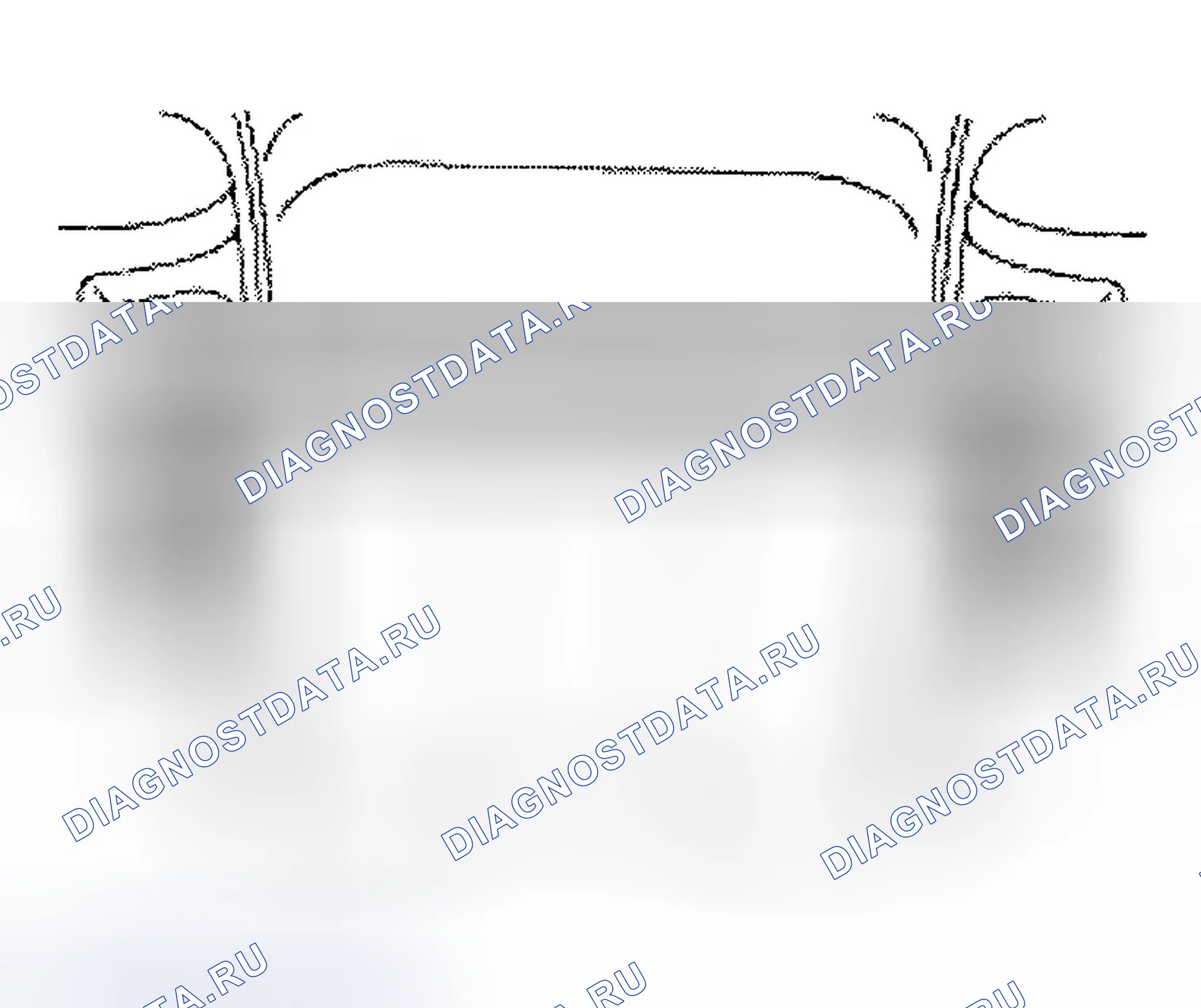 Рис. 4. Ford Thunderbird XI