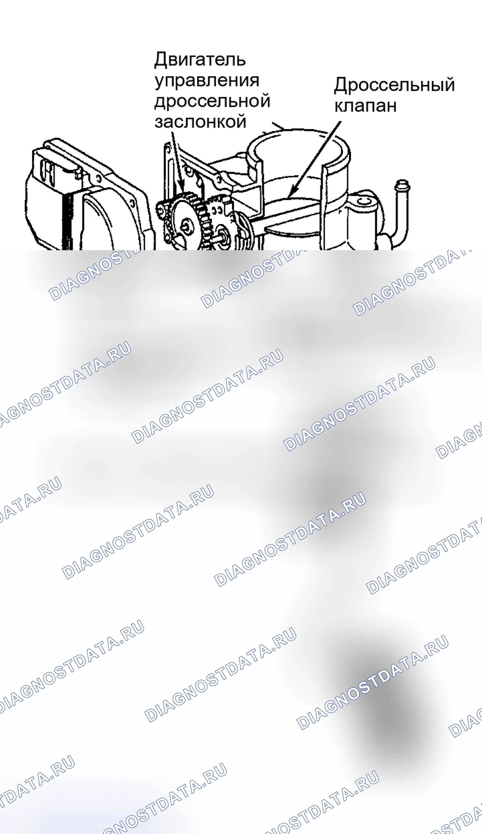 Рис. 10: Camry 2.4L 4-Cyl. (Включая PZEV) и Camry Solara 2.4L 4-Cyl., Land Cruiser, Sequoia, Tundra 4.7L V8. Toyota Land Cruiser 100 рестайлинг