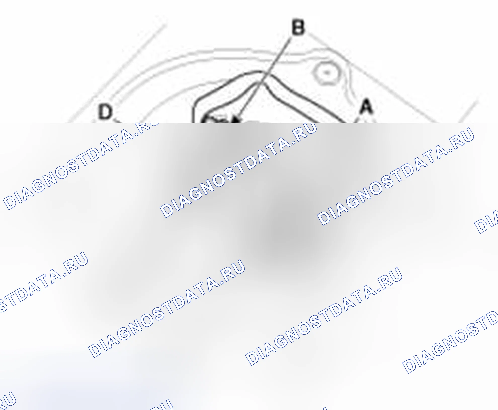 Рис. 49. Haval Beast (Shenshou) I