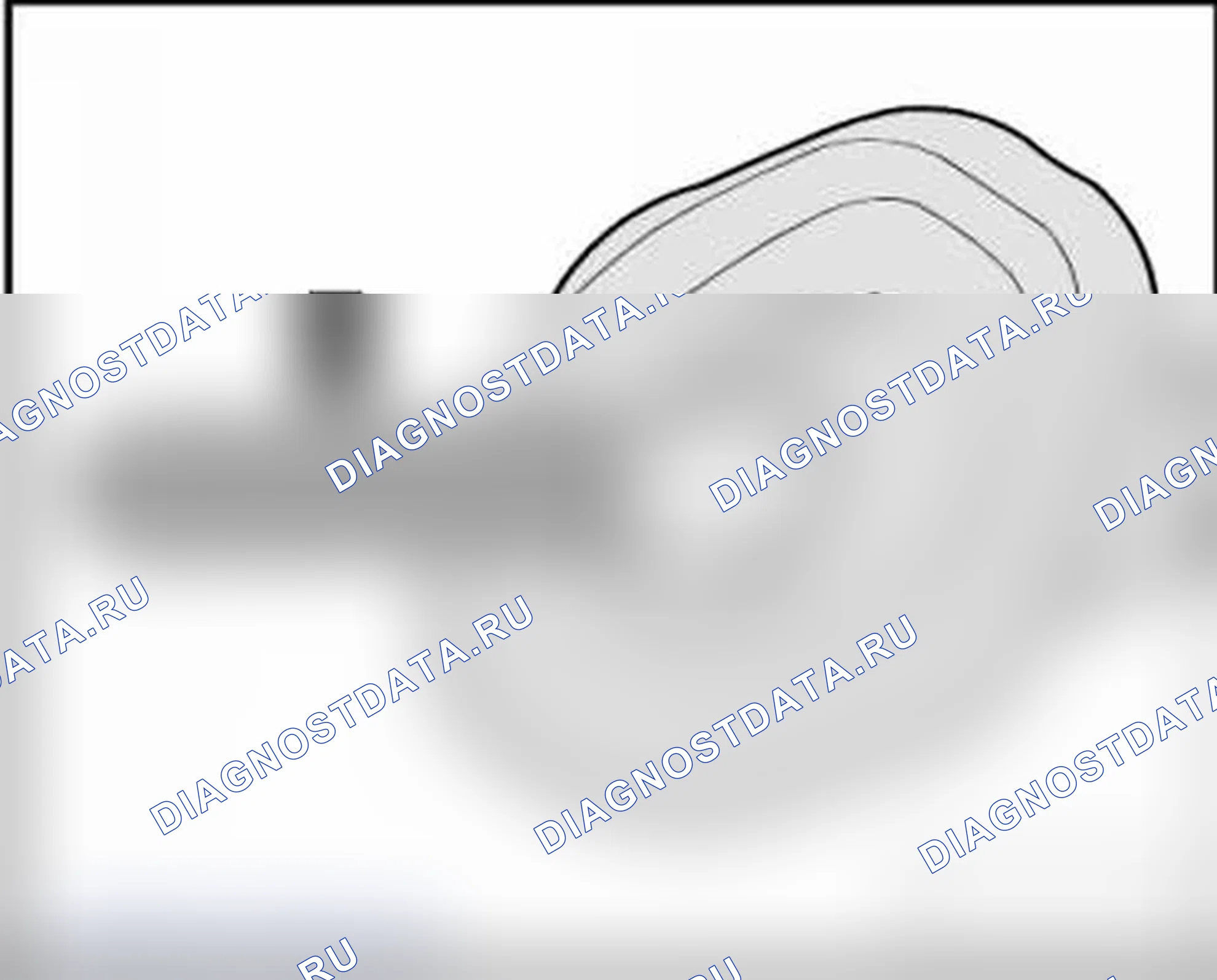Рис. 53. Audi Q7 4L рестайлинг