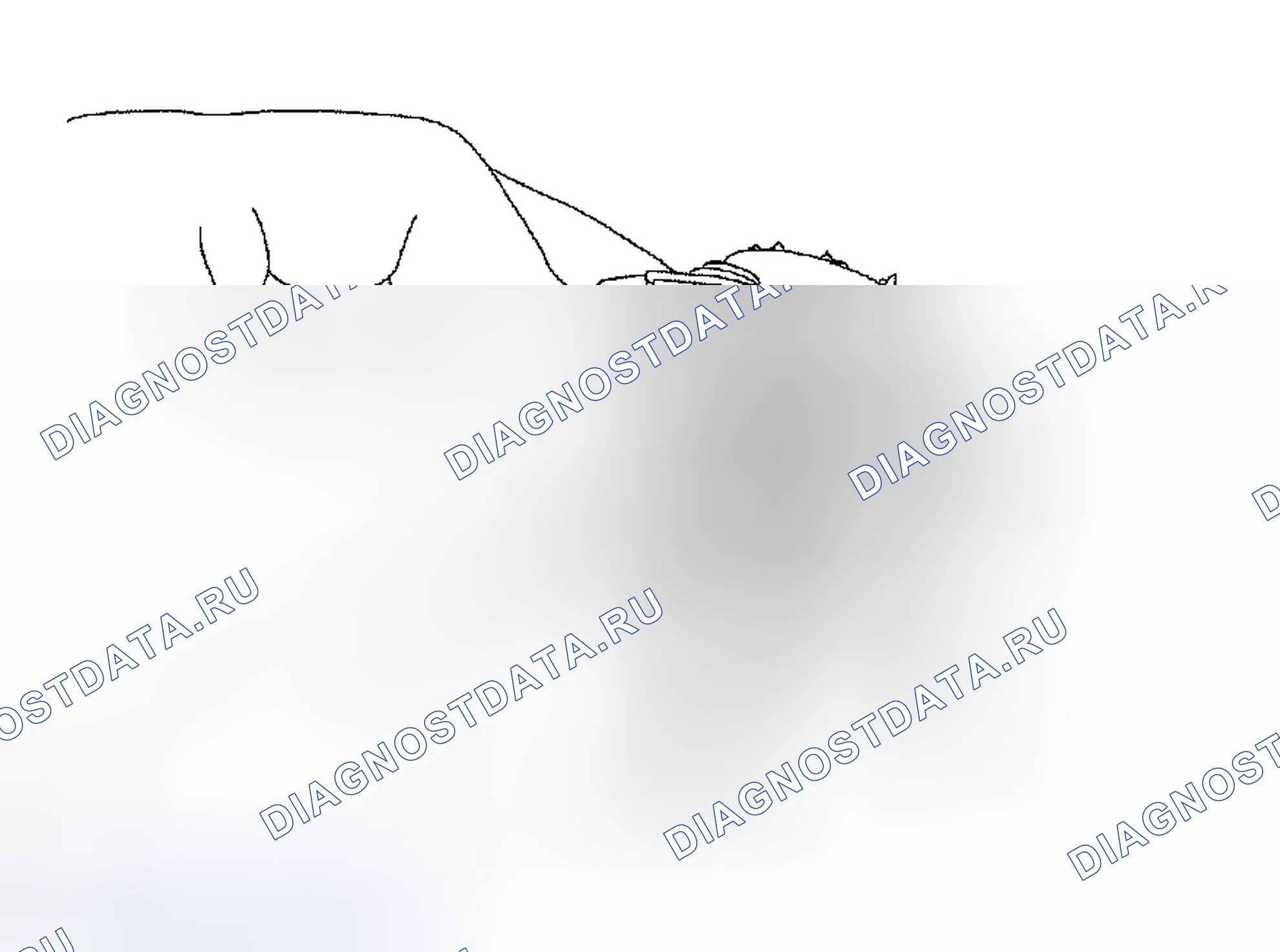 Рис. 82. Toyota Tacoma II