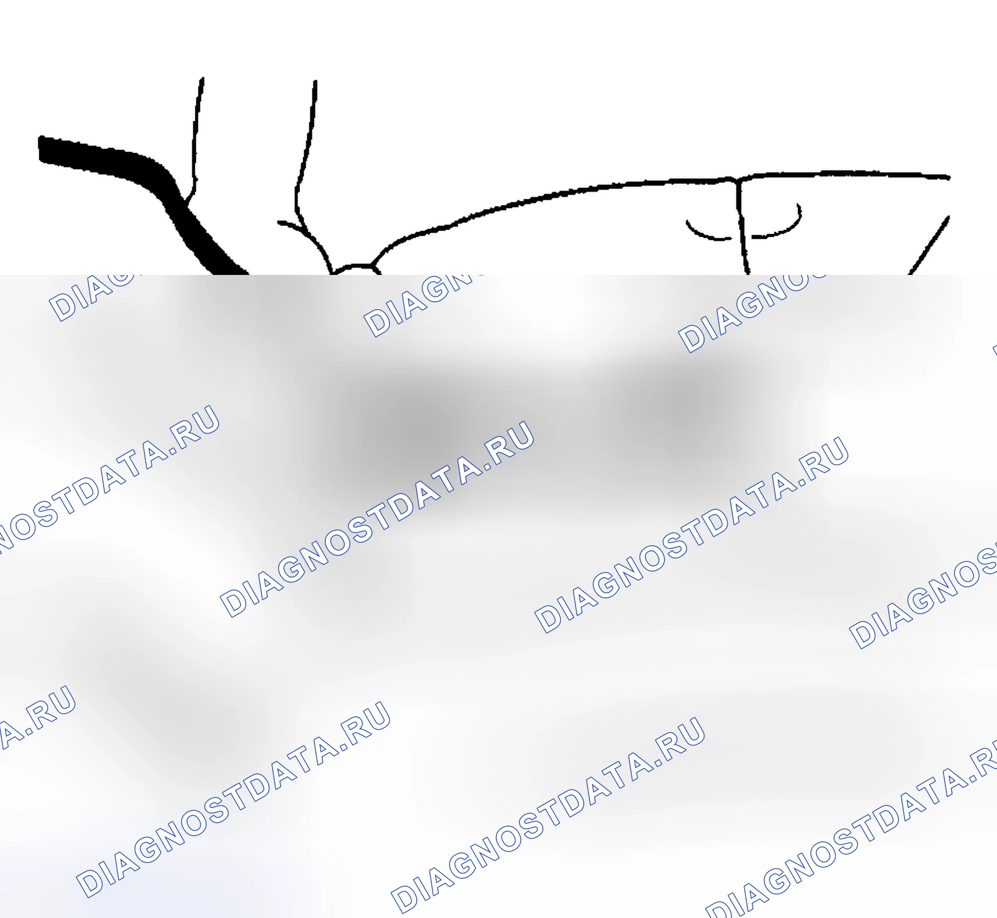 Рис. 207. Hyundai Venue I