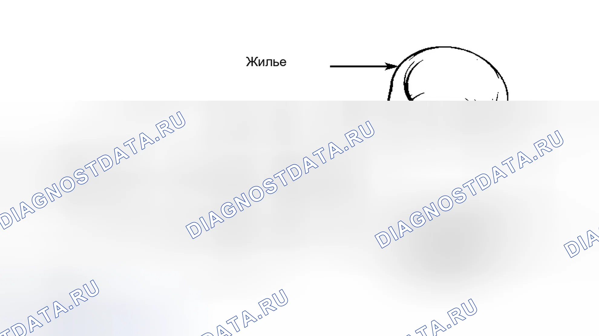 Рис. 2. Hyundai Elantra III