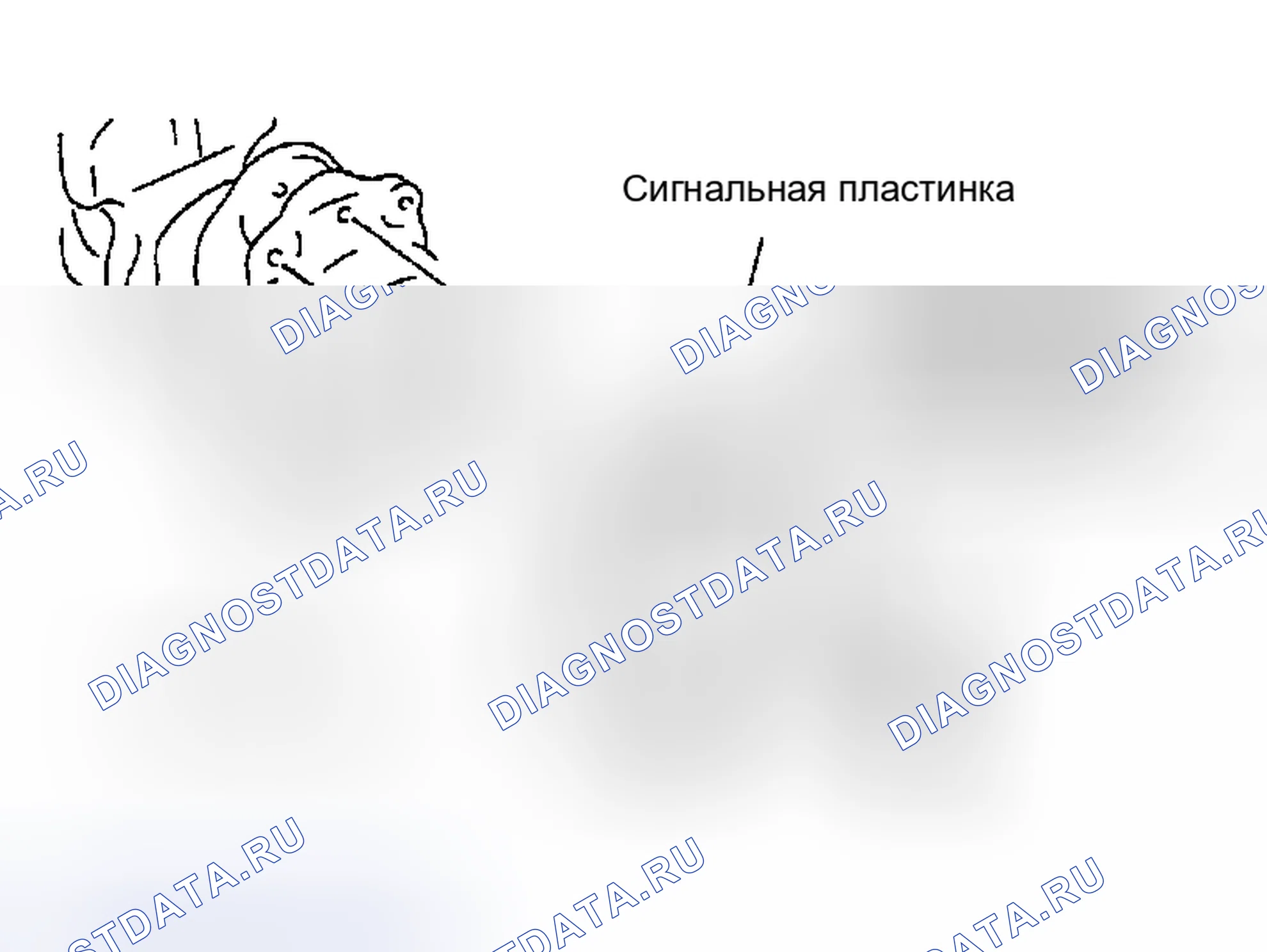 Рис. 124. Nissan Sentra B15