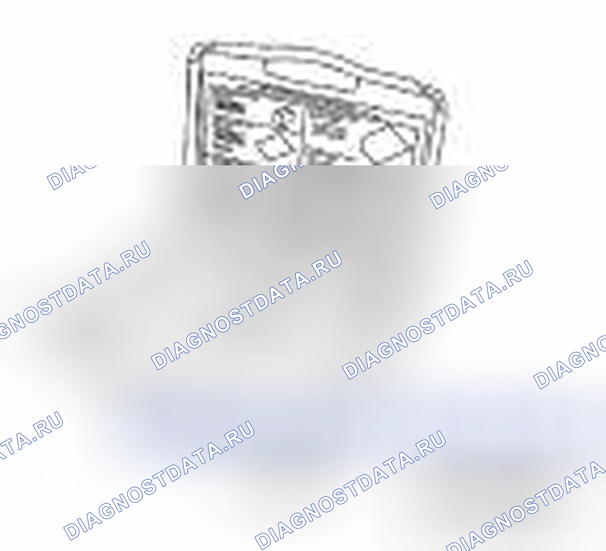 Рис. 446. Nissan Altima L32 рестайлинг