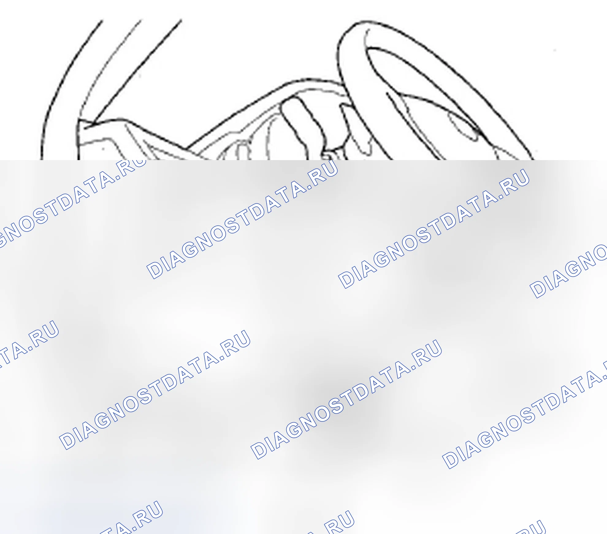 Рис. 253: Инициализация датчика OPDS. Acura ZDX I