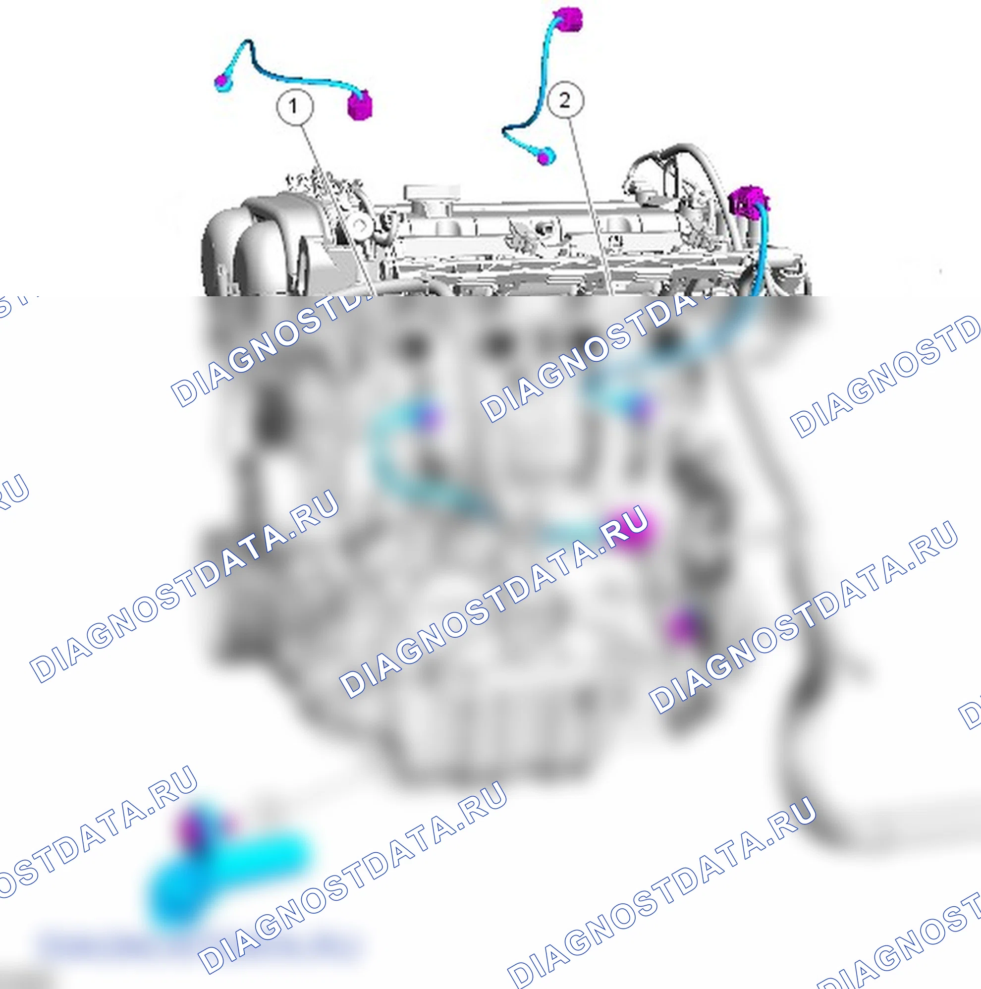 Электронные органы управления: описание и работа. Ford Grand C-MAX II