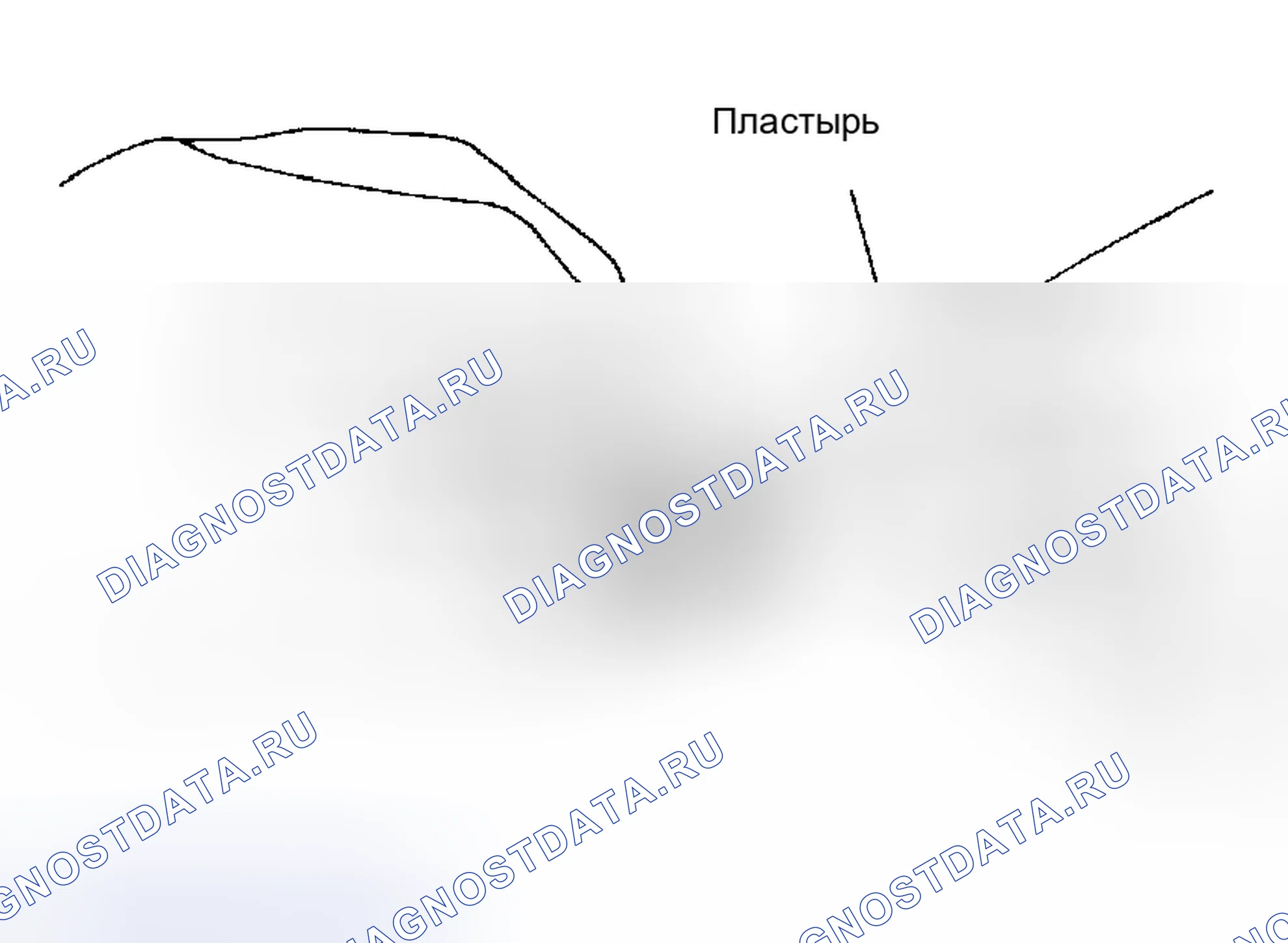 Рис. 4. Honda Accord VI