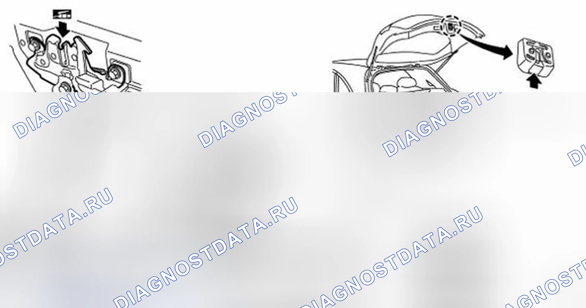 Рис. 46: Смазочные замки, петли и защелка капота. Infiniti FX45 I рестайлинг