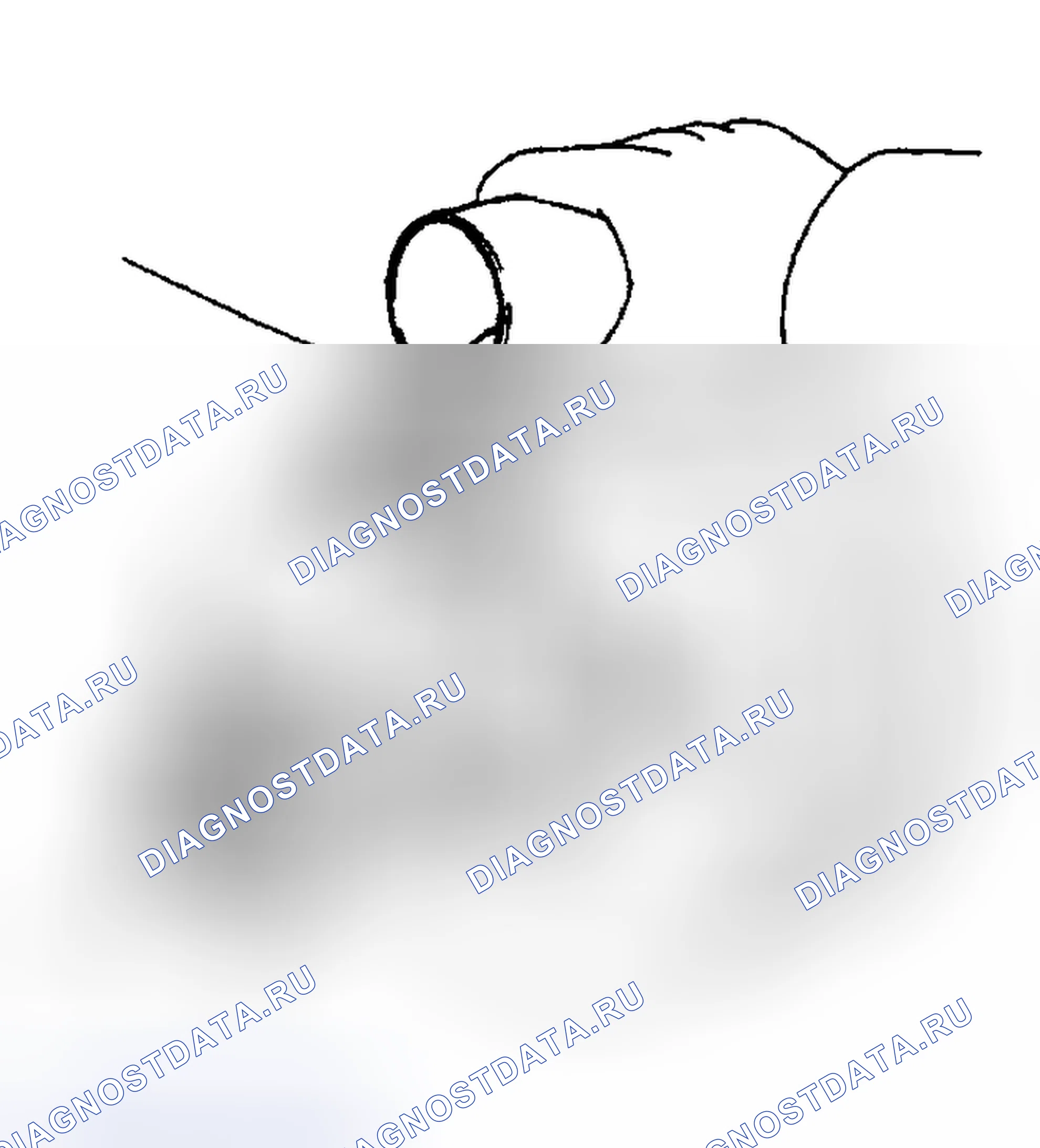 Рис. 43. Honda Accord X рестайлинг